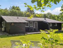 Ruim vakantiehuis Vitus bij Toftlund met grote tuin, 30 km van de Deense westkust - thumbnail 1