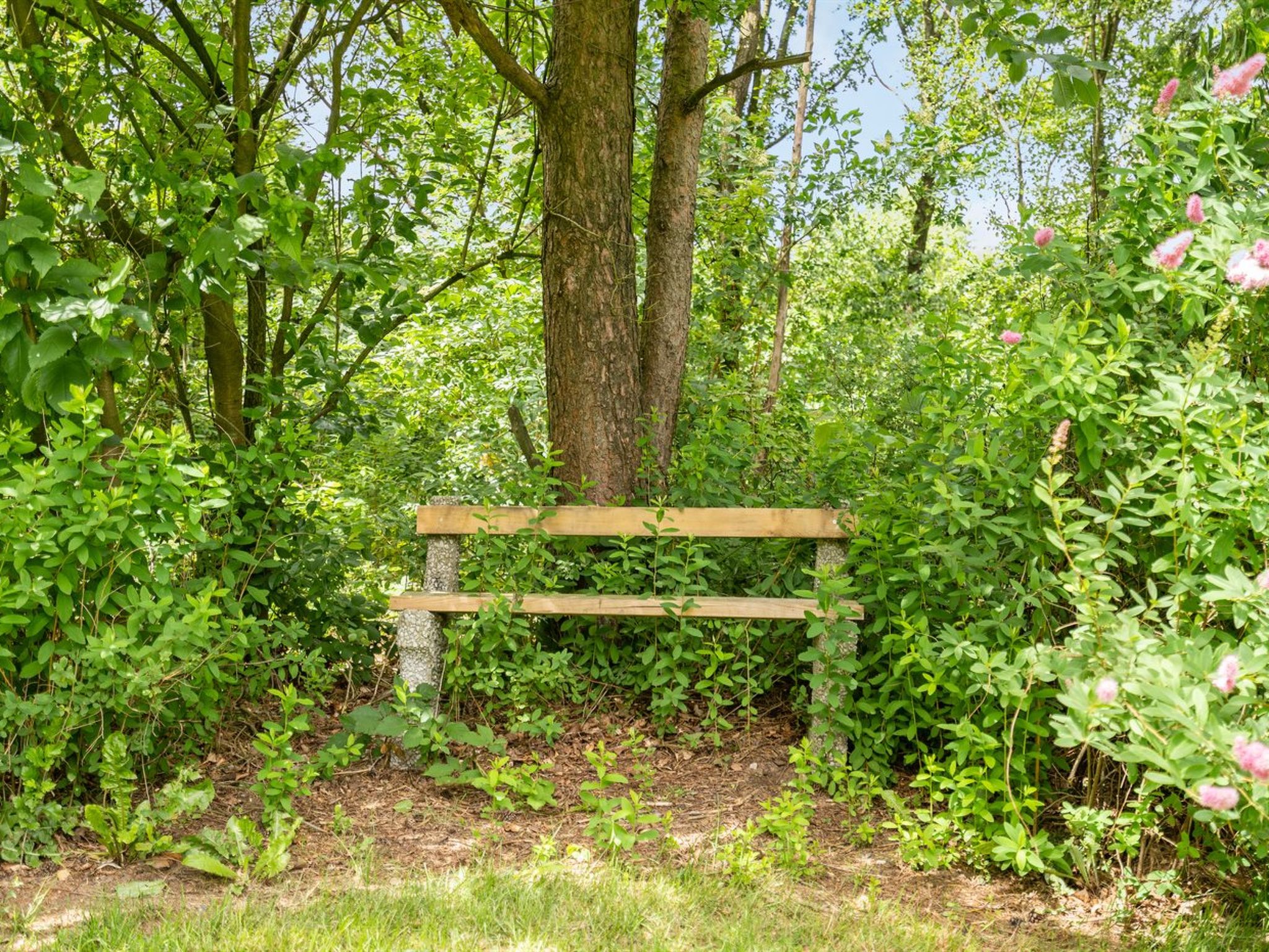 "Massie" - 30km from the sea - Draußen