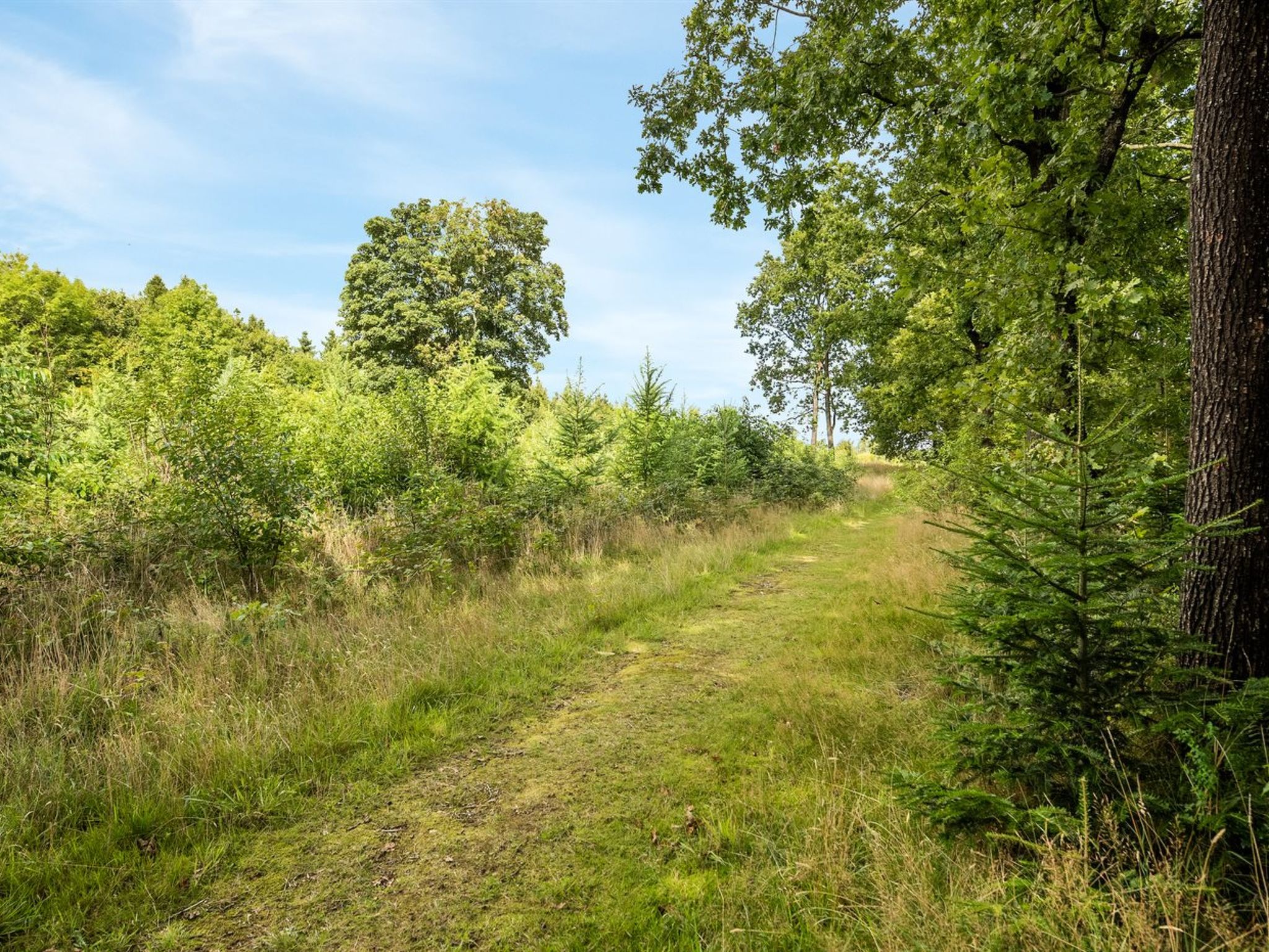 "Rasmus" - 29km from the sea - Buiten