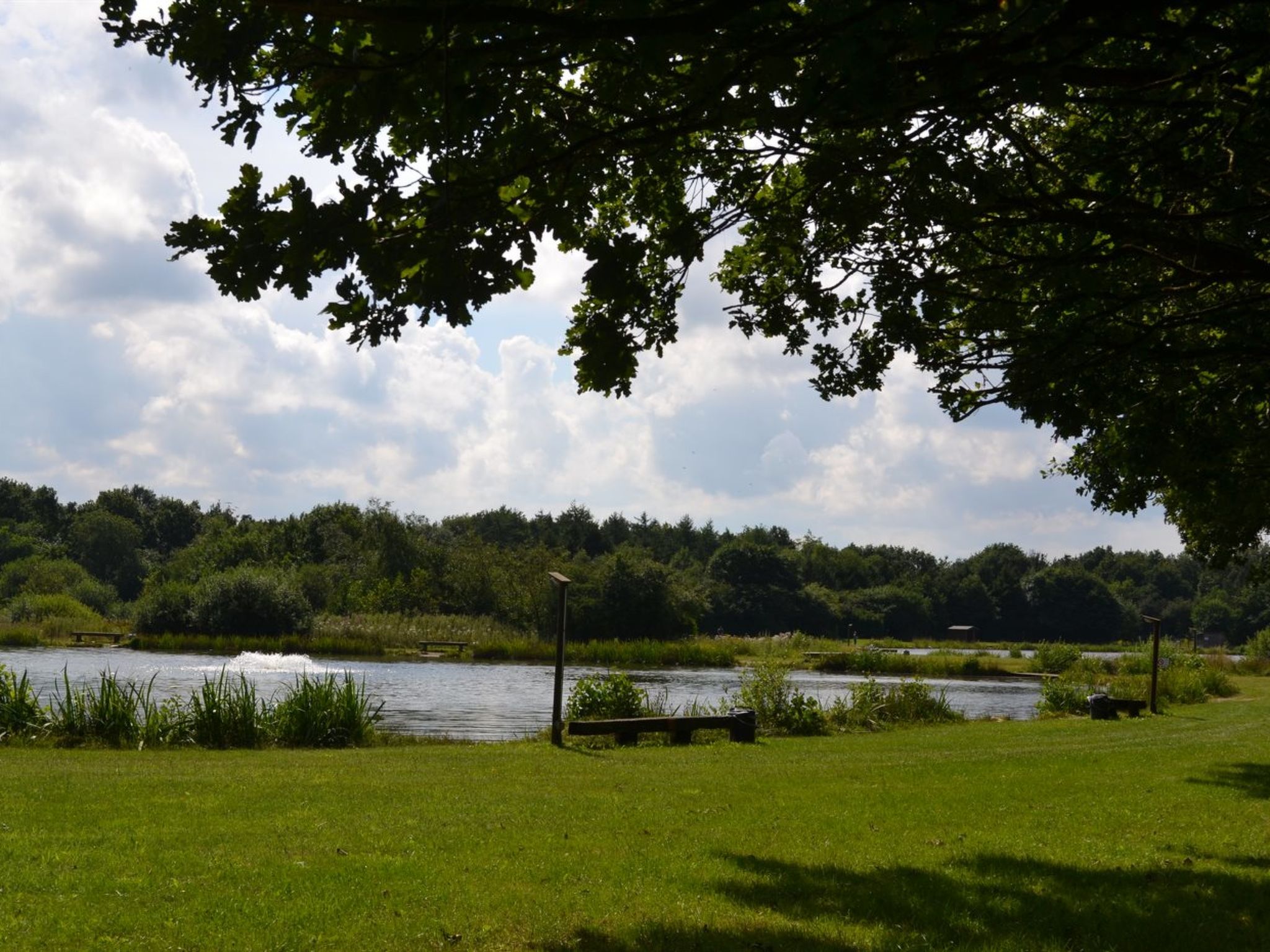 "Swenki" - 29km from the sea - Buiten
