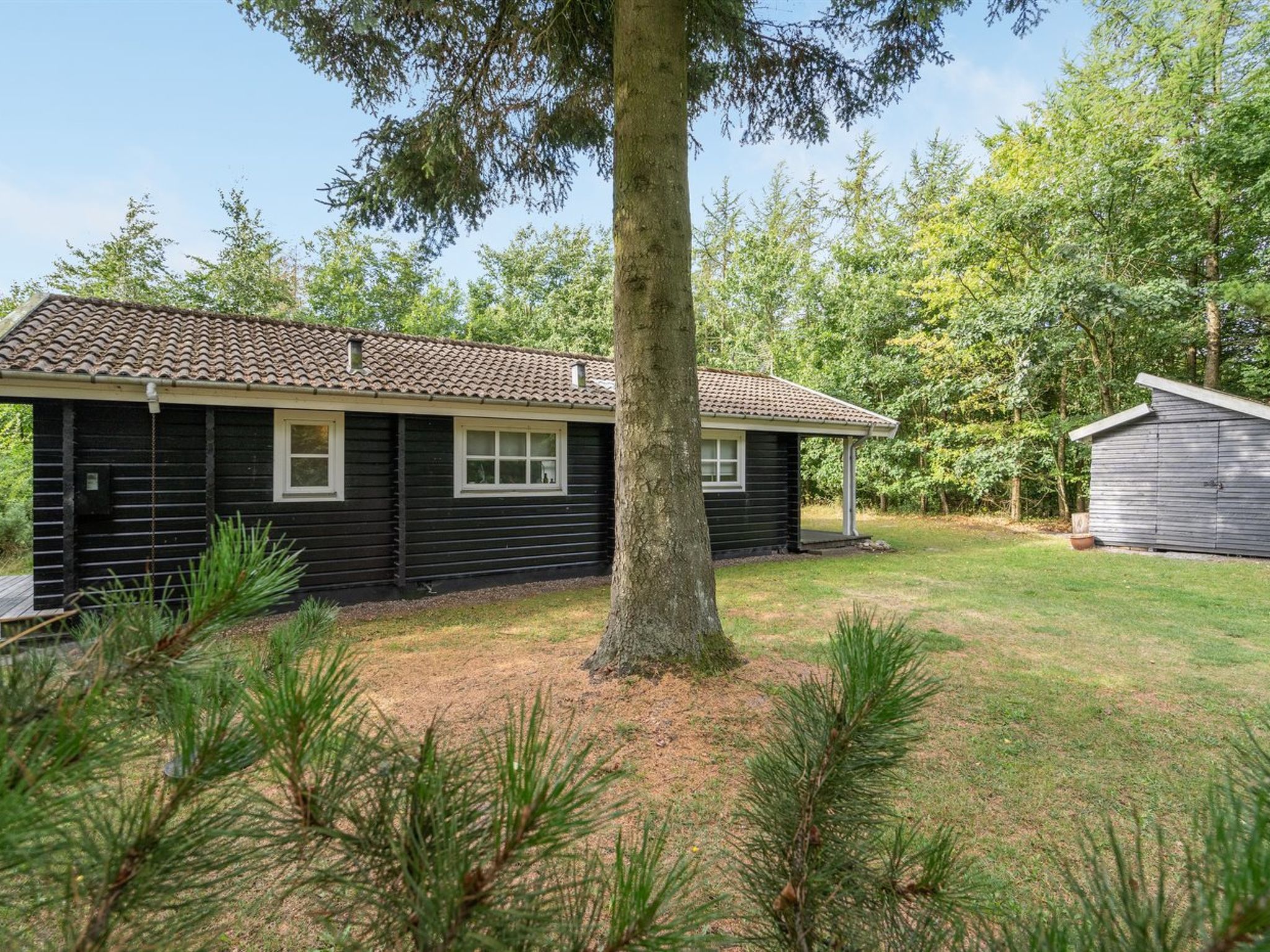 "Iulger" - 30km from the sea — House (3 of 22)