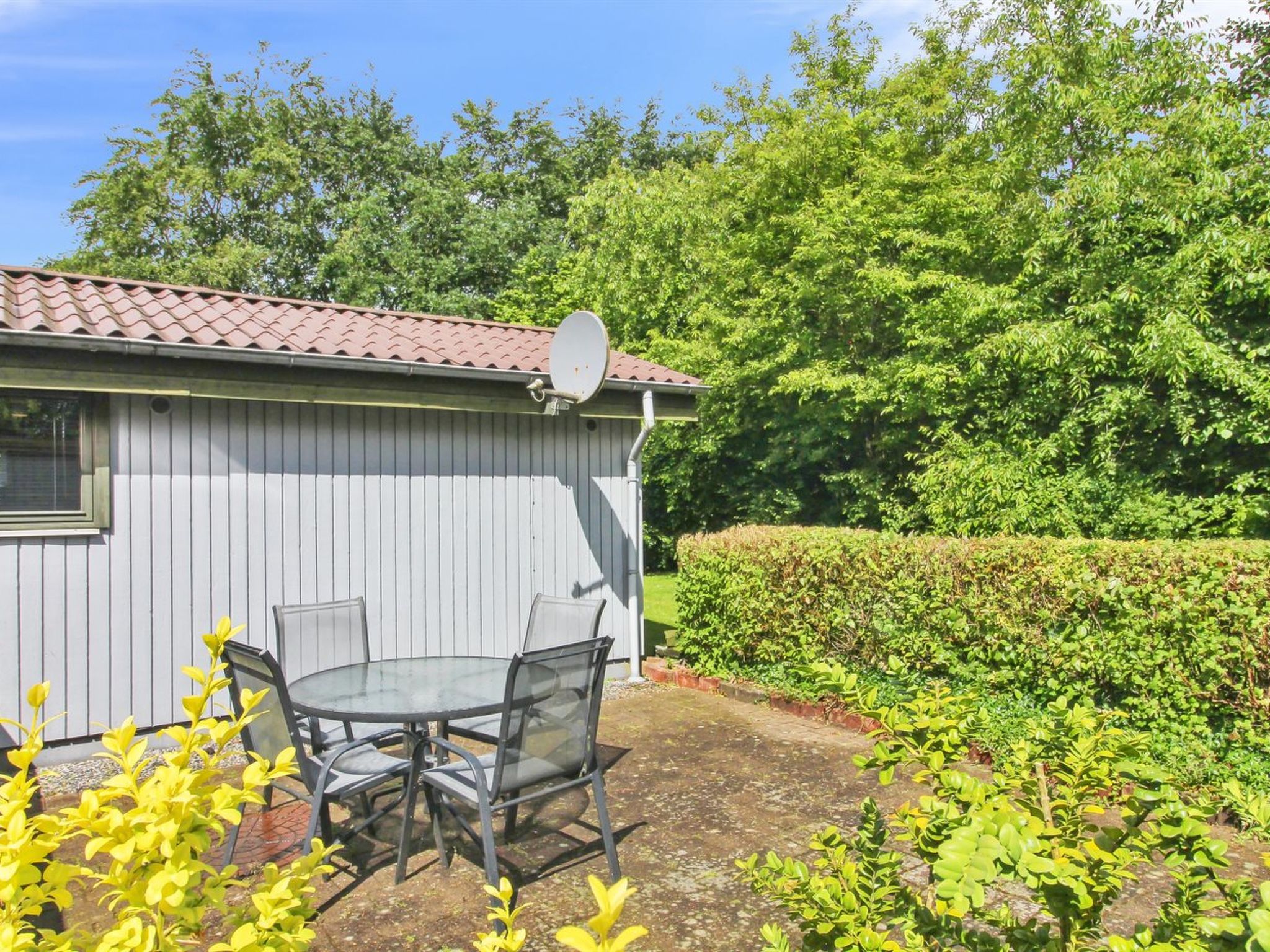 "Ofrath" - 30km from the sea — Terrace (5 of 24)
