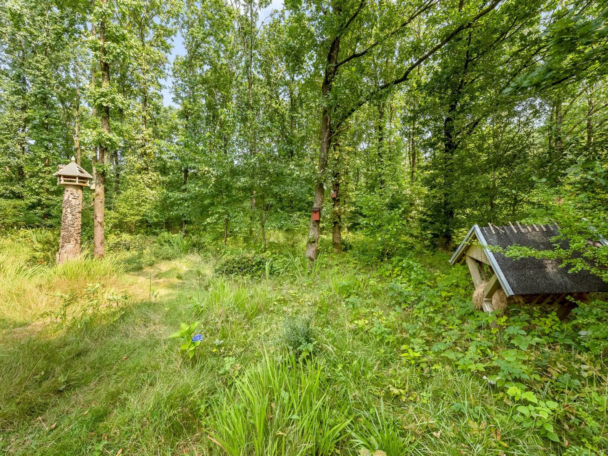 "Lenya" - 33km from the sea - Buiten