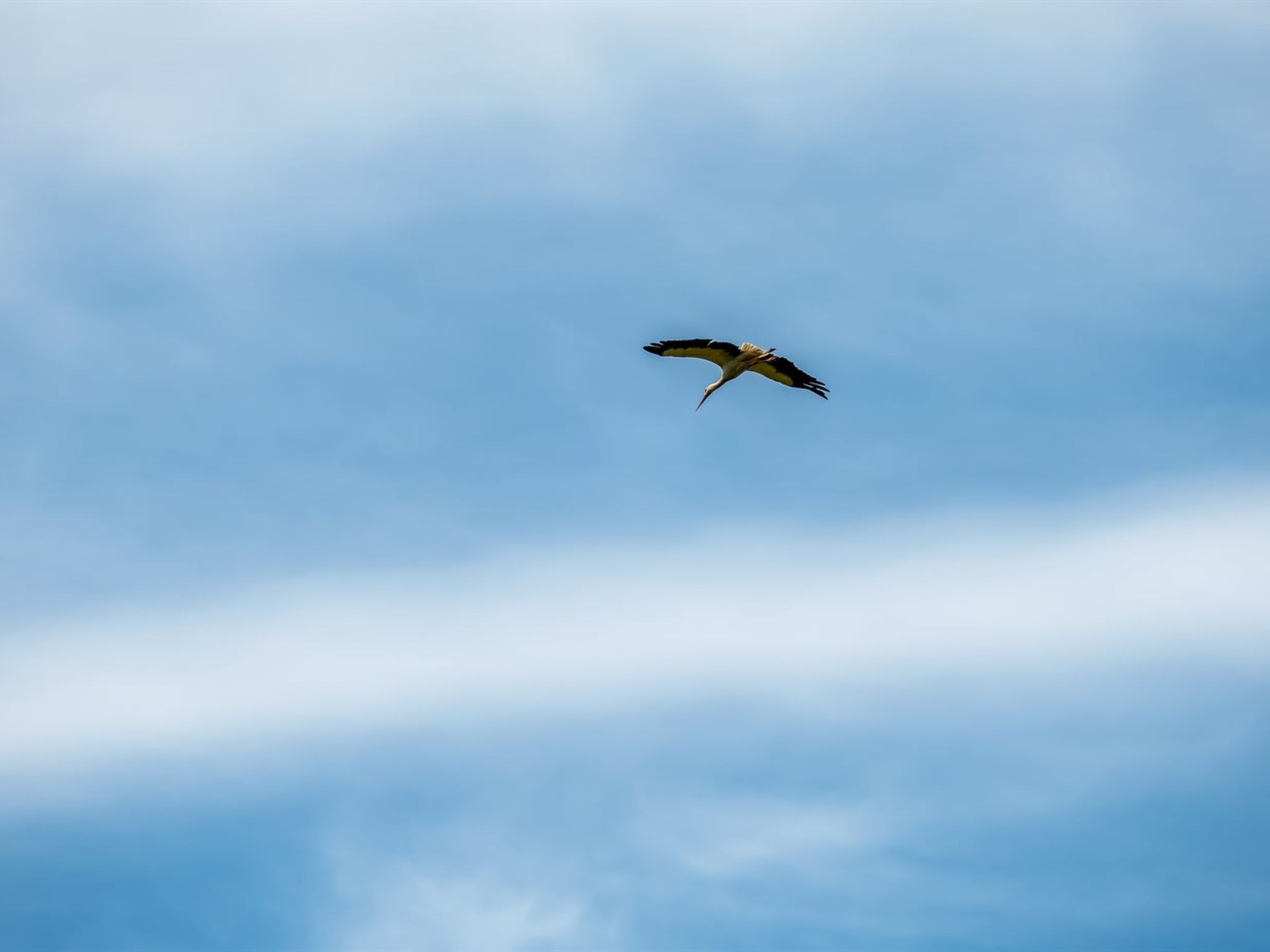 "Truels" - 30km from the sea-Binnen