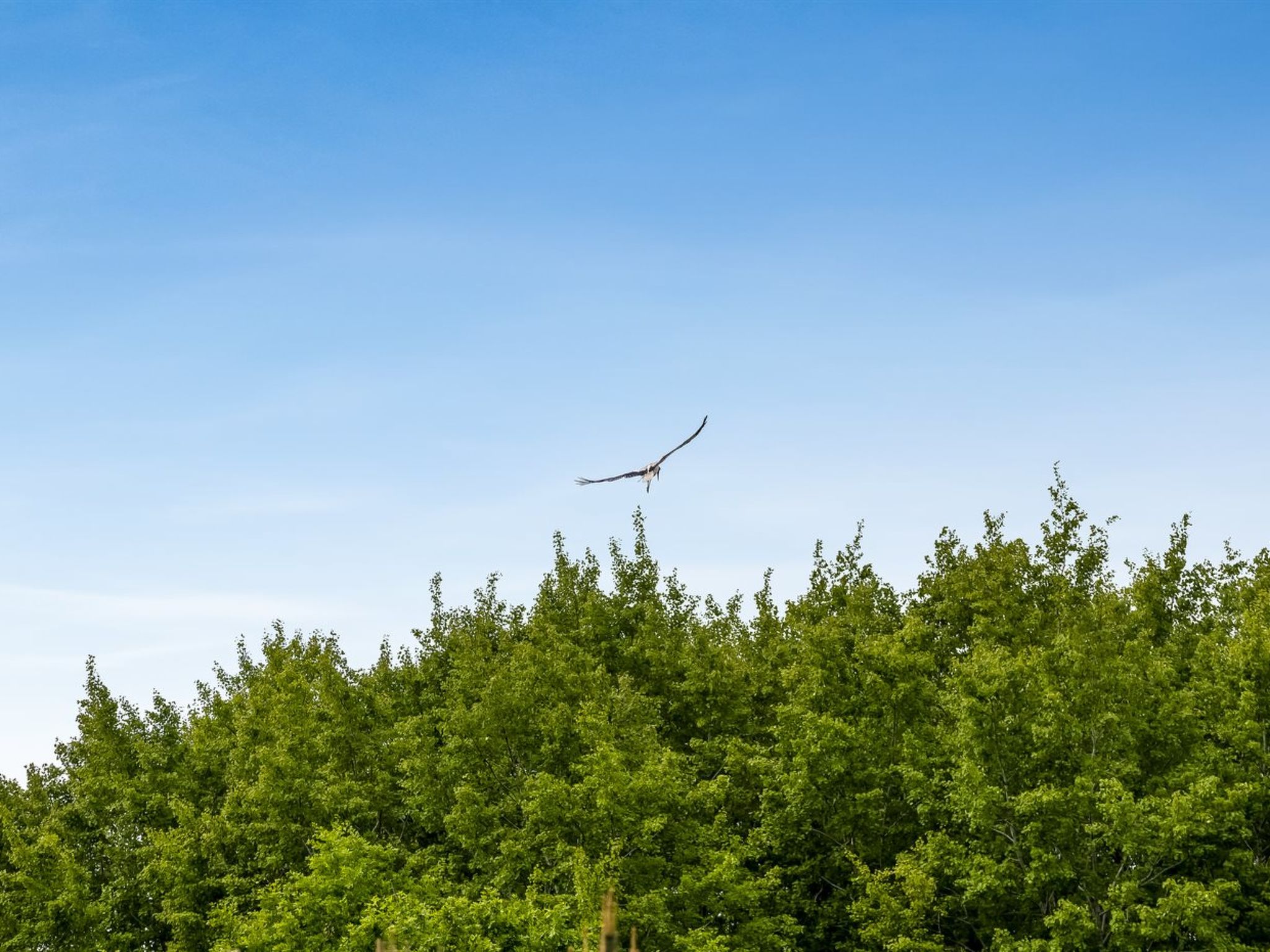 "Truels" - 30km from the sea