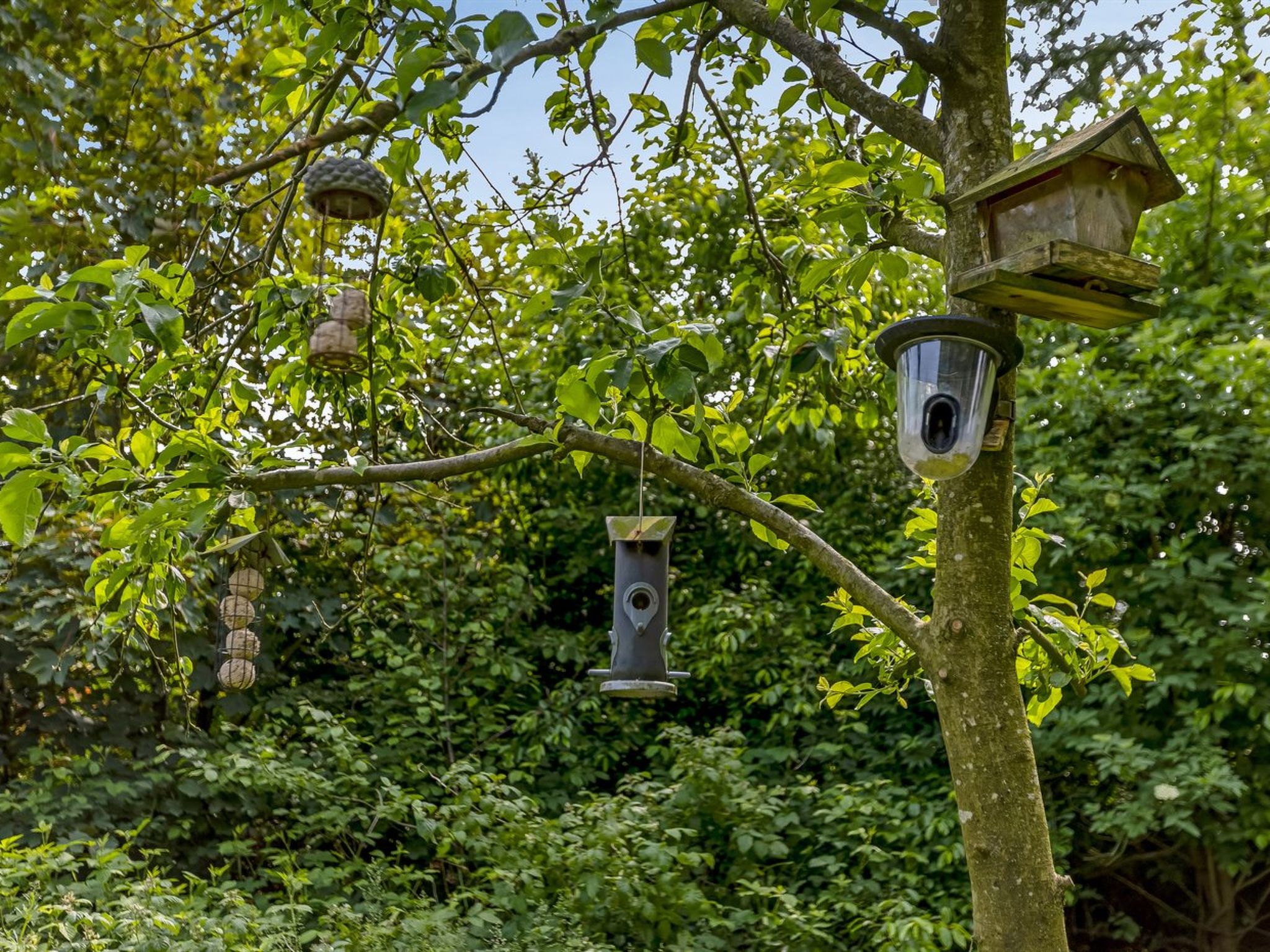 "Ejvind" - 30km from the sea-Draußen