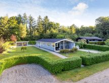Dorethea: Ruim familiehuis aan het meer bij Toftlund - thumbnail 1