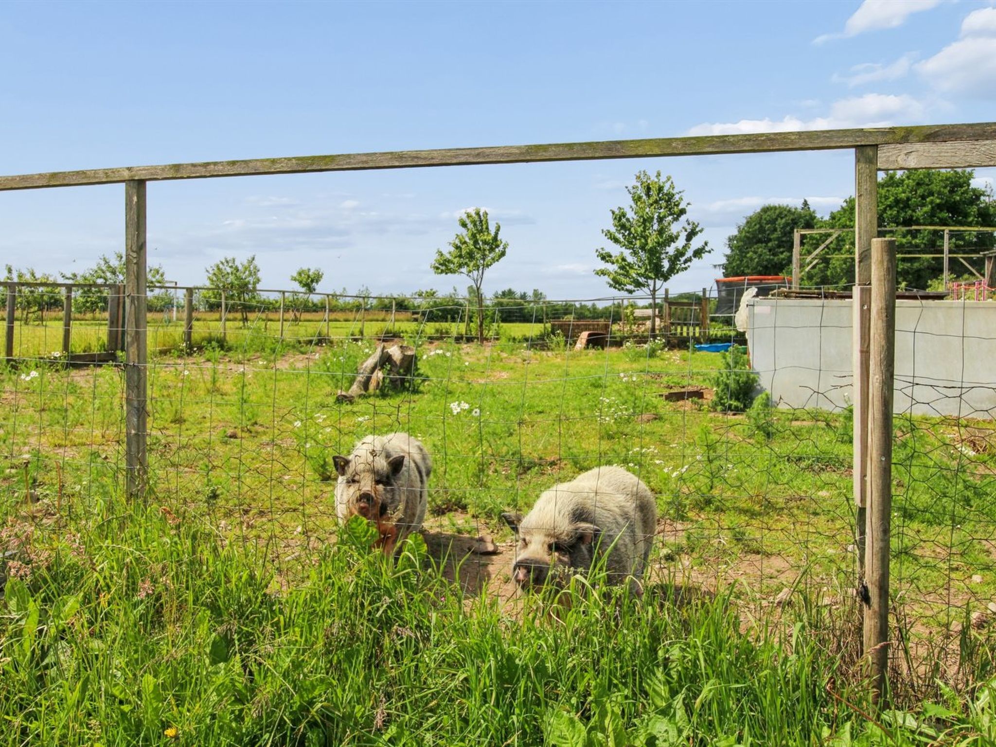 "Ilsabe" - 25km from the sea - Dehors