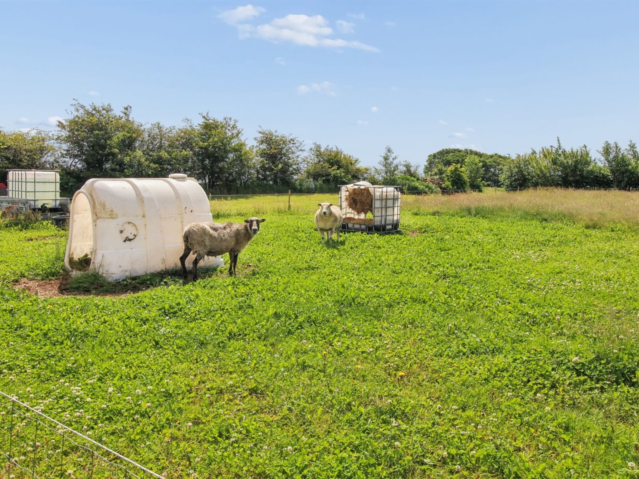 "Ilsabe" - 25km from the sea - Dehors