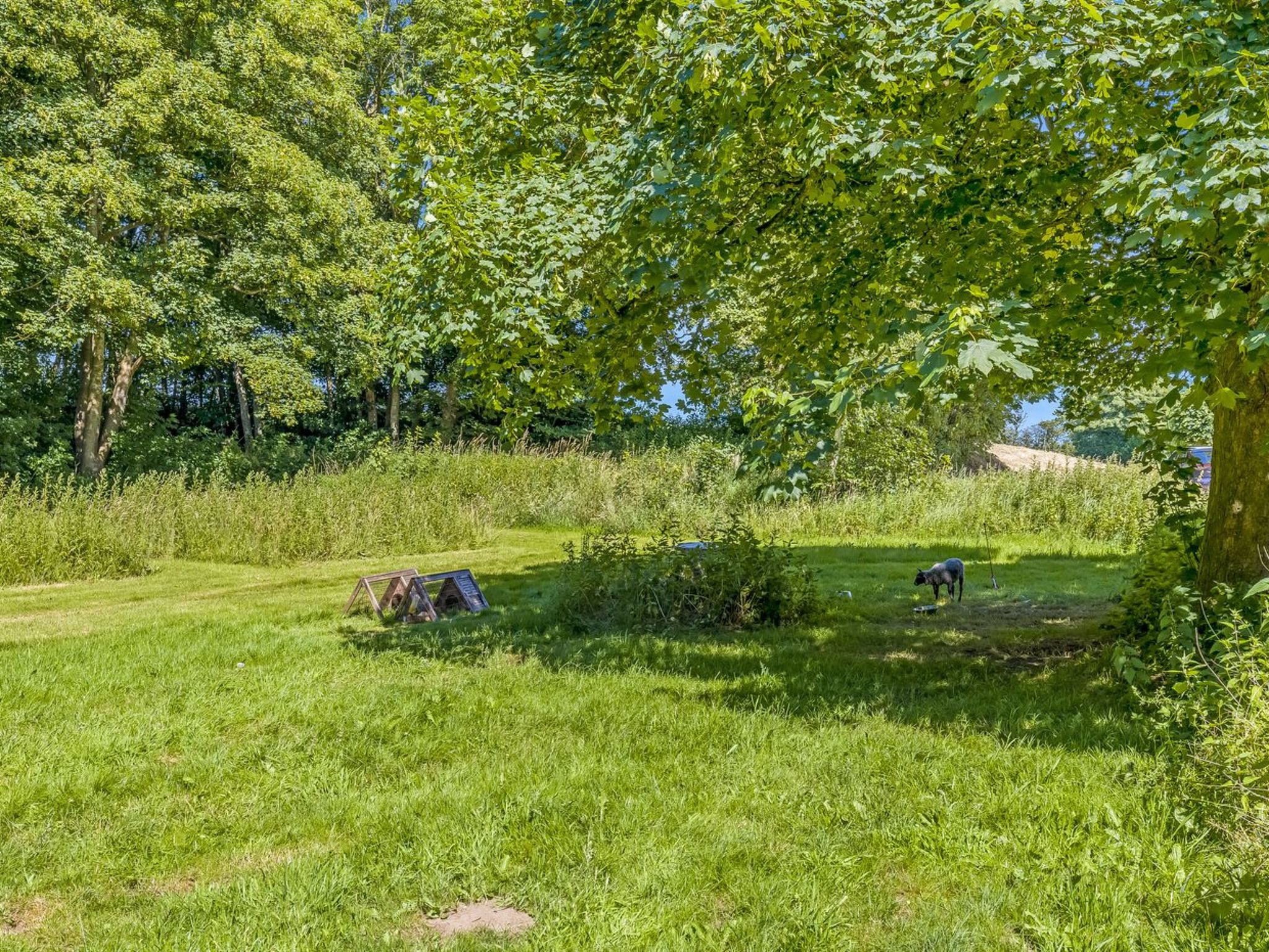 "Thilo" - 39km from the sea - Outside