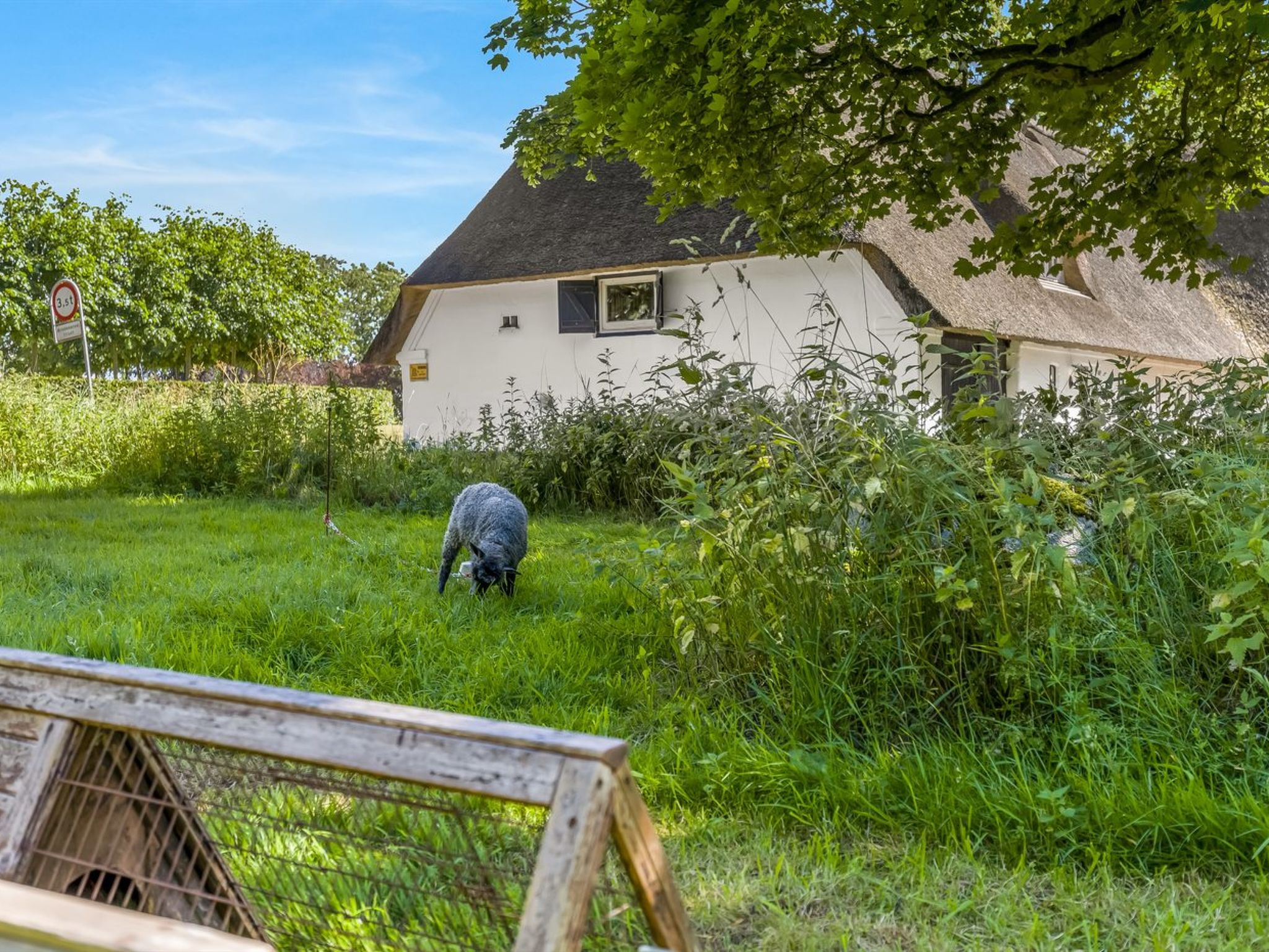 "Thilo" - 39km from the sea - Outside