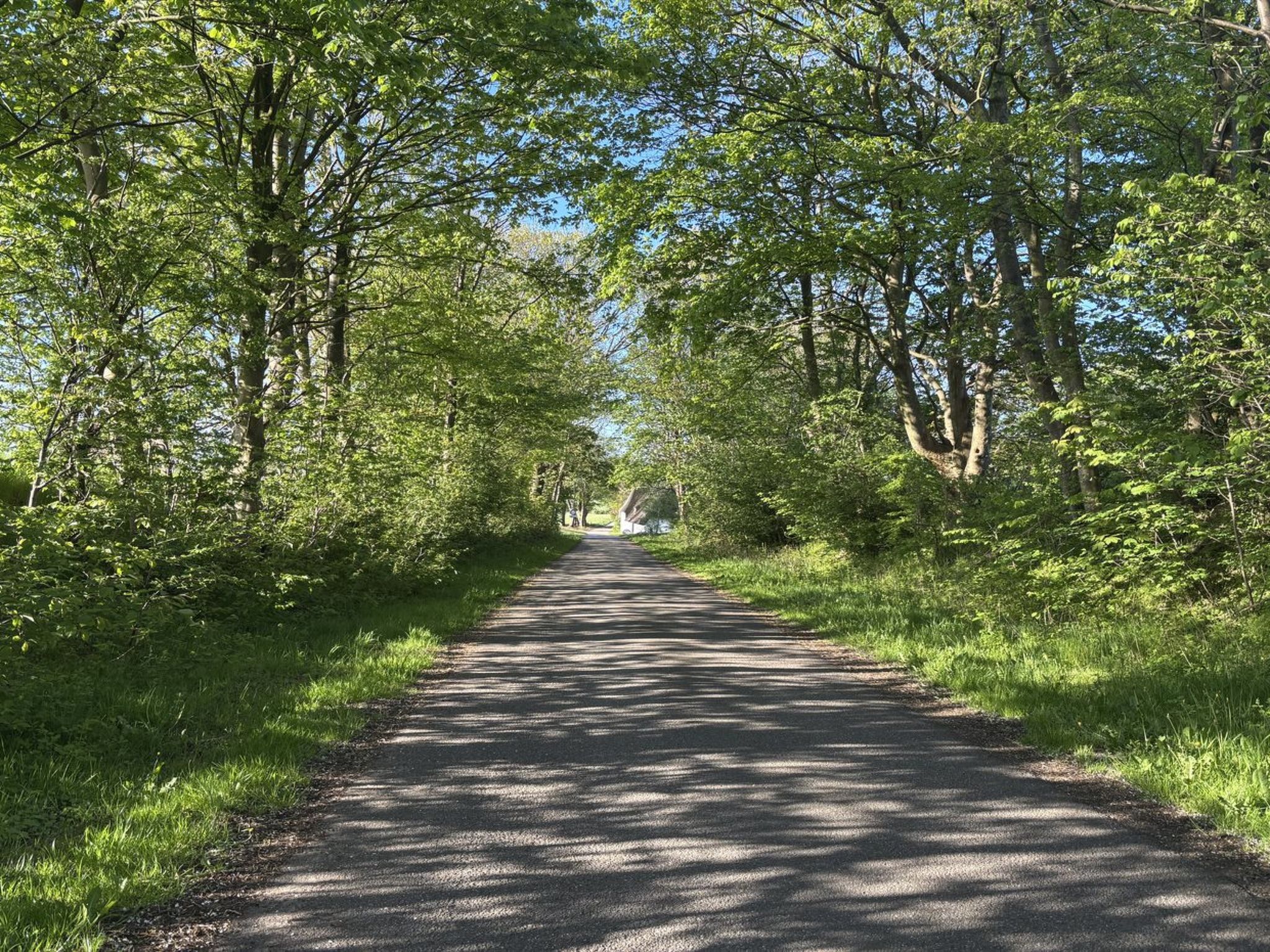 "Thilo" - 39km from the sea - Outside