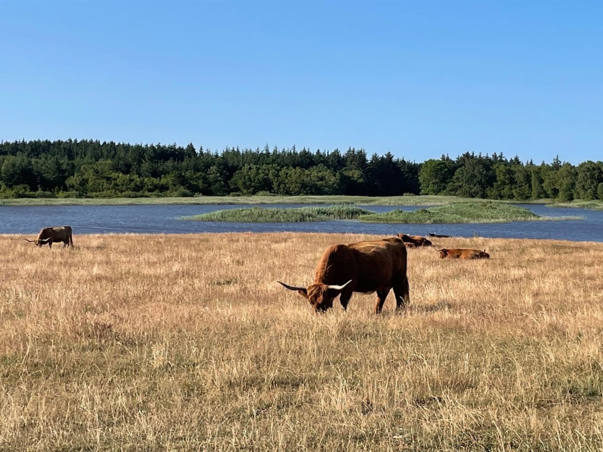 "Esben" - 15m from the sea - Buiten