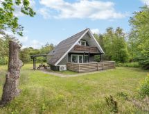 Vrijstaand vakantiehuis met sauna op 1 km van de Deense westkust - thumbnail 1