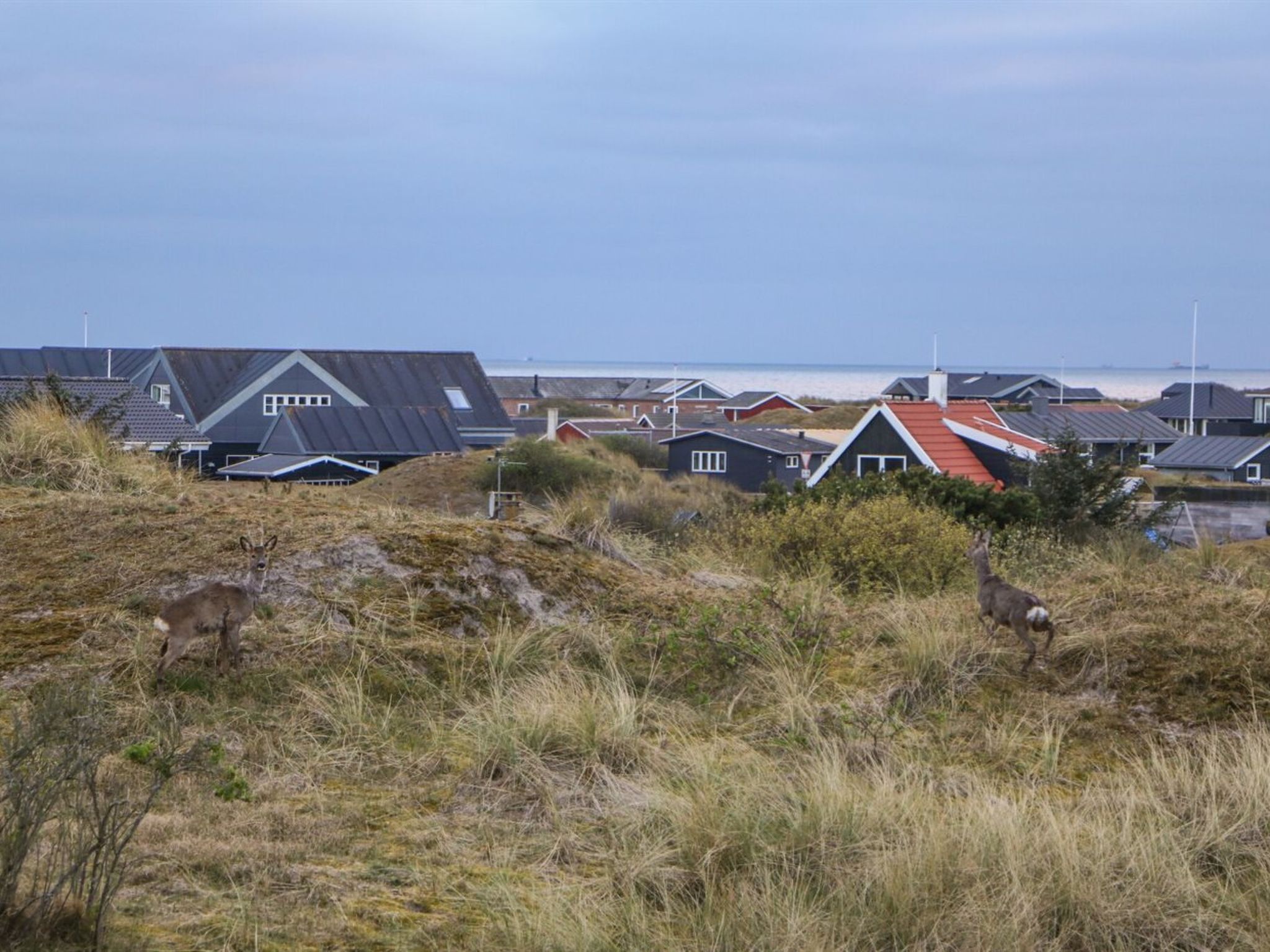"Hansina" - 500m from the sea - Buiten