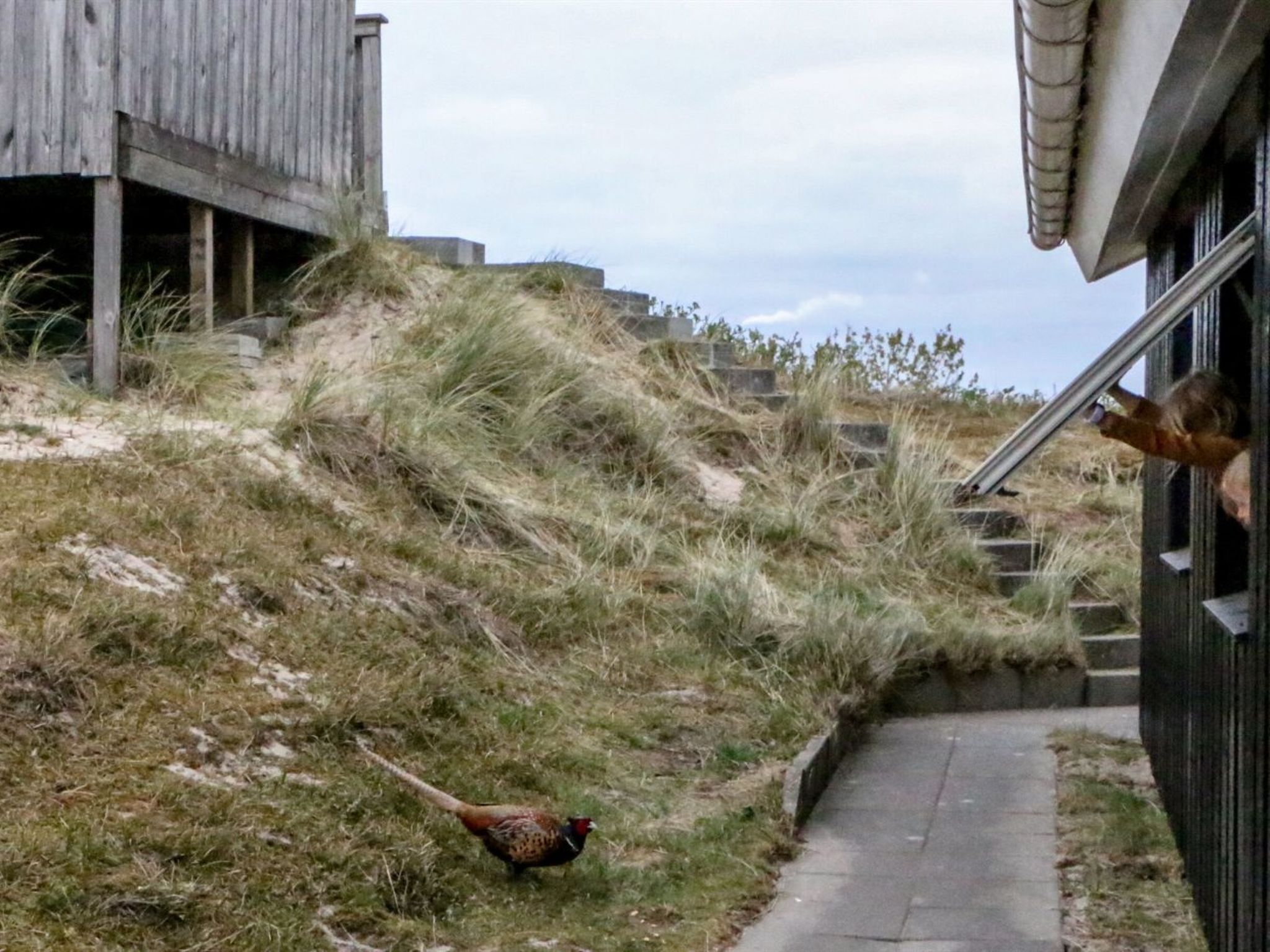 "Hansina" - 500m from the sea - Buiten