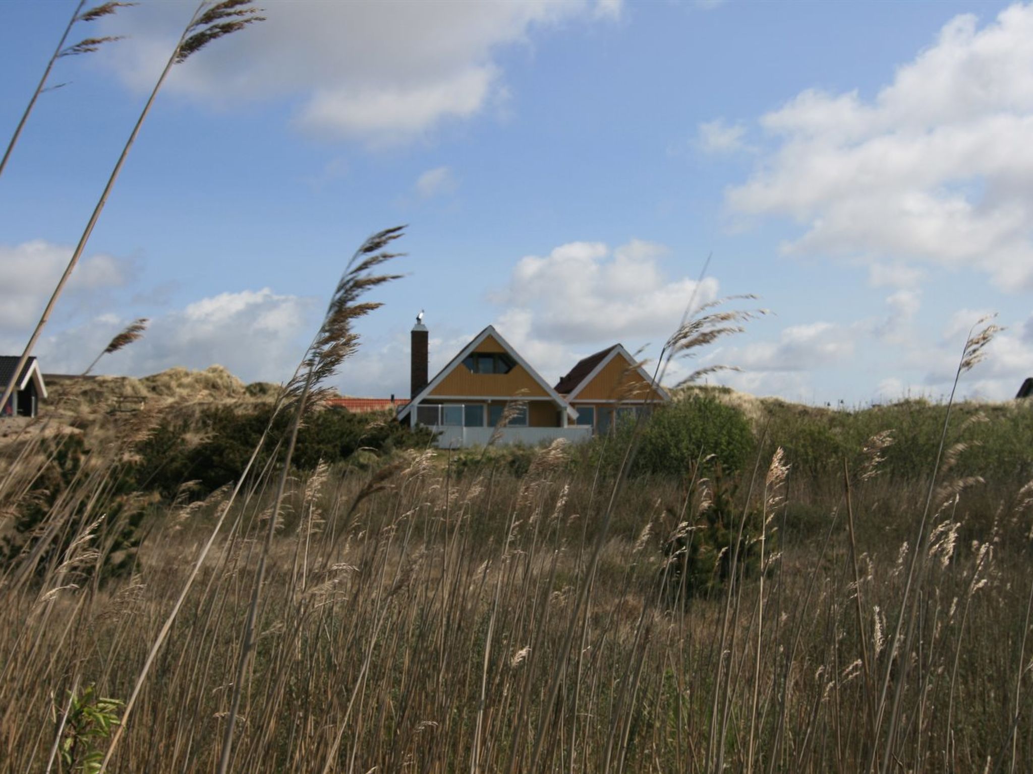 "Sys" - 500m from the sea - Buiten