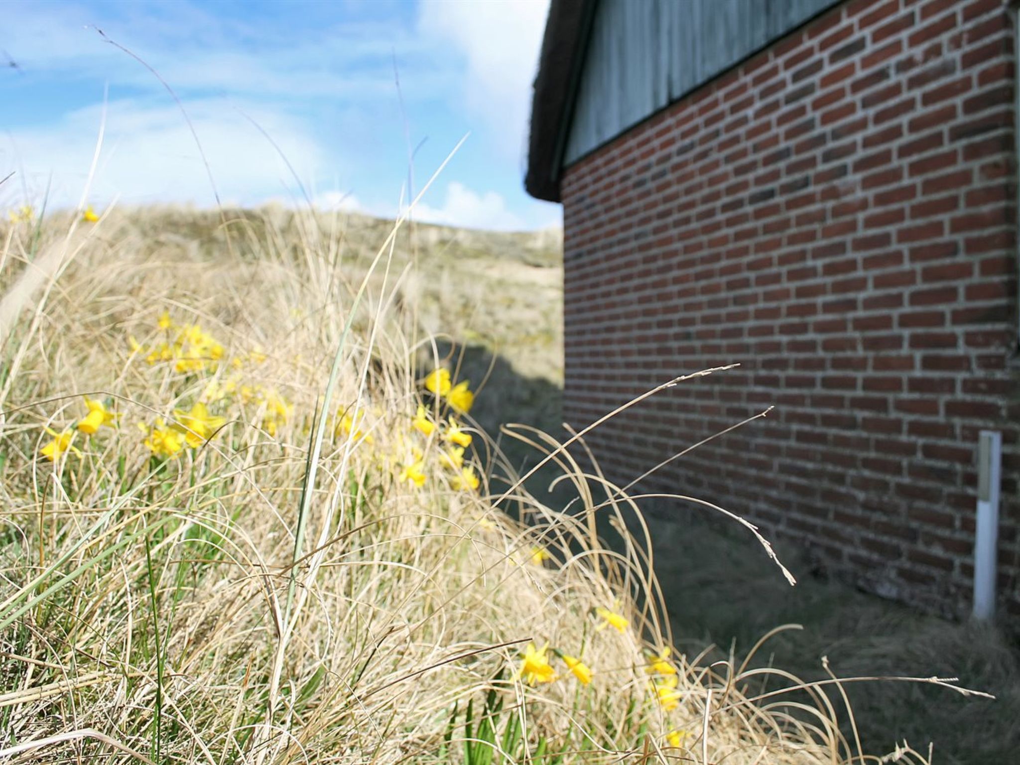 "Iivari" - 1.5km from the sea - Dehors