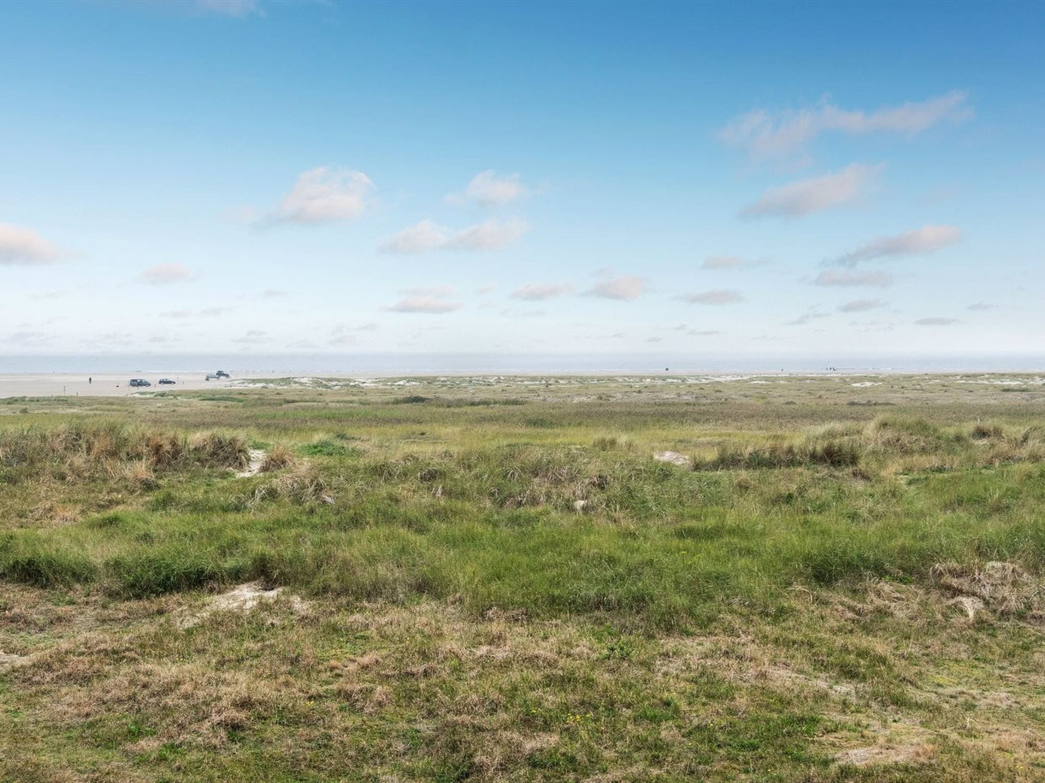 "Anedorte" - 50m from the sea - Draußen