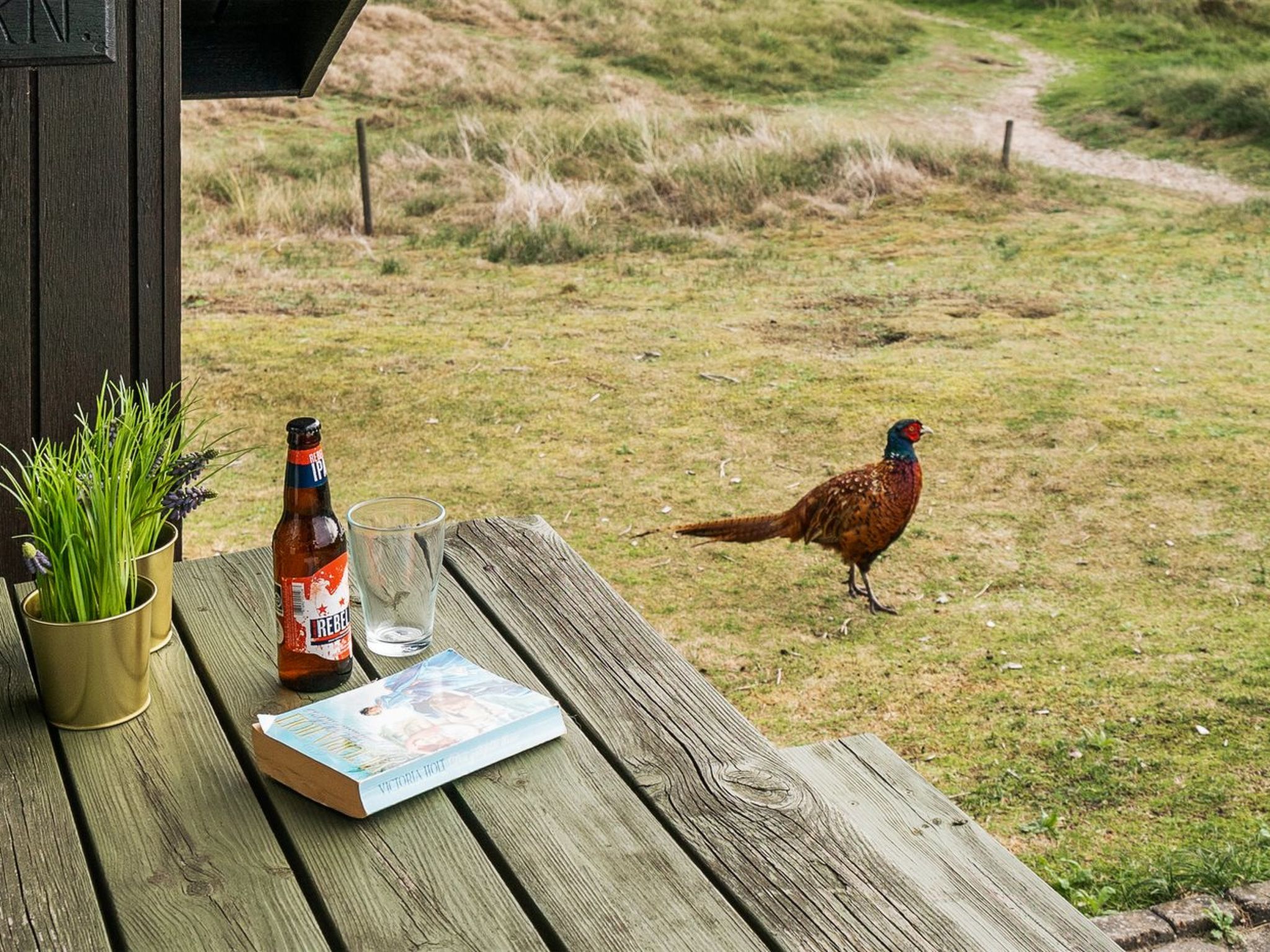 "Delia" - 300m from the sea - Buiten
