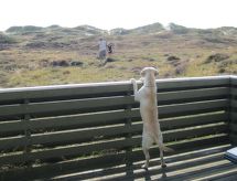 Vrijstaande bungalow Lilja met sauna, 1,5 km van zee op Fanø - thumbnail 5
