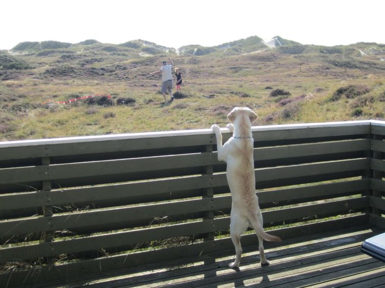 Search and Stay destination Fanø, Denmark from AU$ 569. "Lilja" - 1.5km from the sea in Western Jutland
