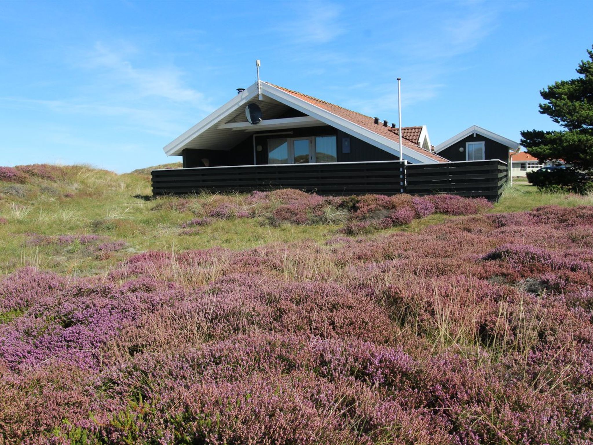 "Lilja" - 1.5km from the sea — House (3 of 18)