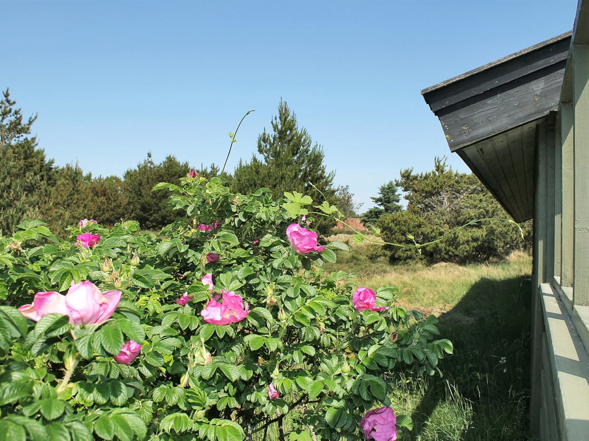"Srebrenka" - 1.2km from the sea - Buiten