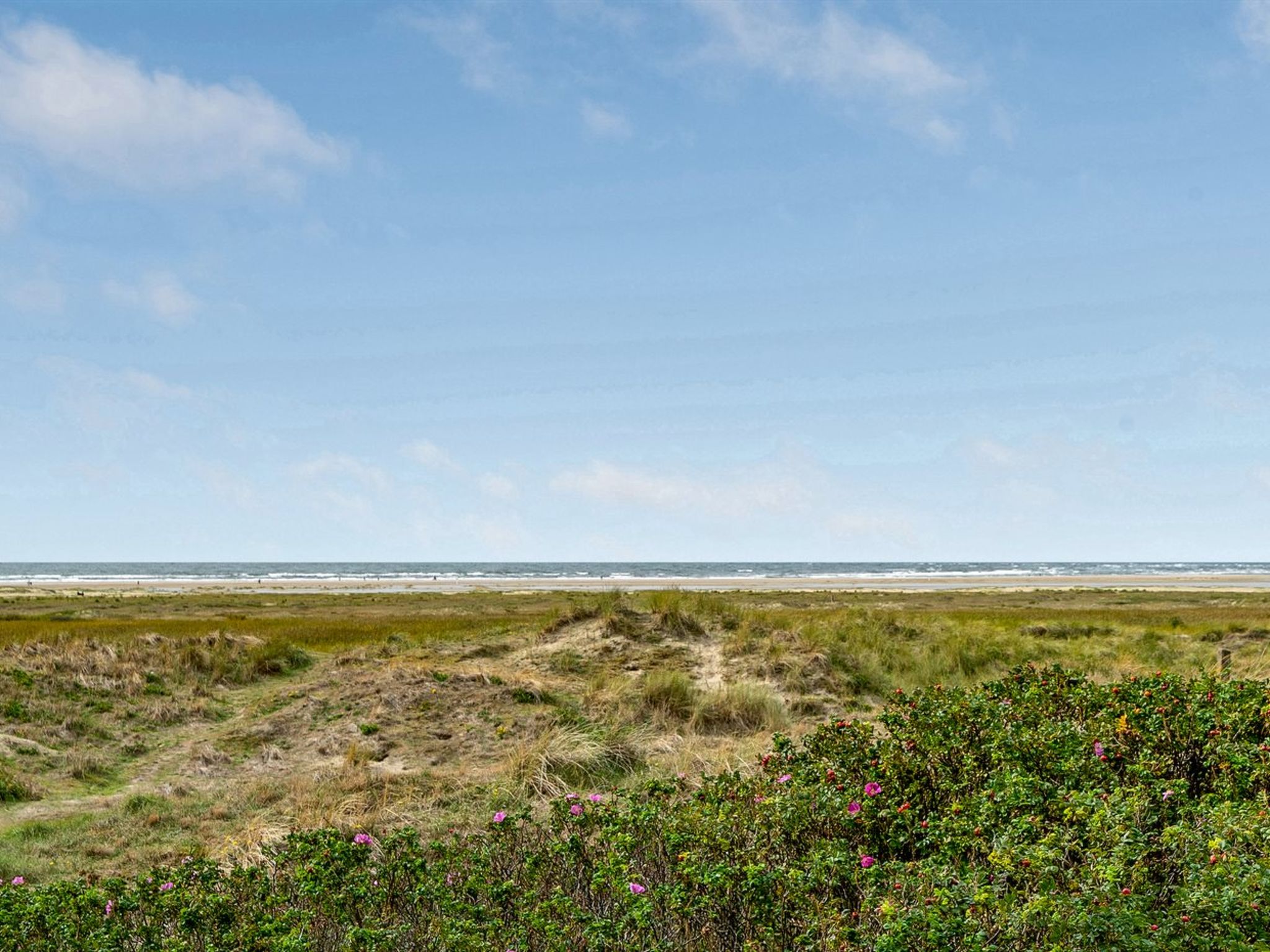 "Iliane" - 100m from the sea-Buiten