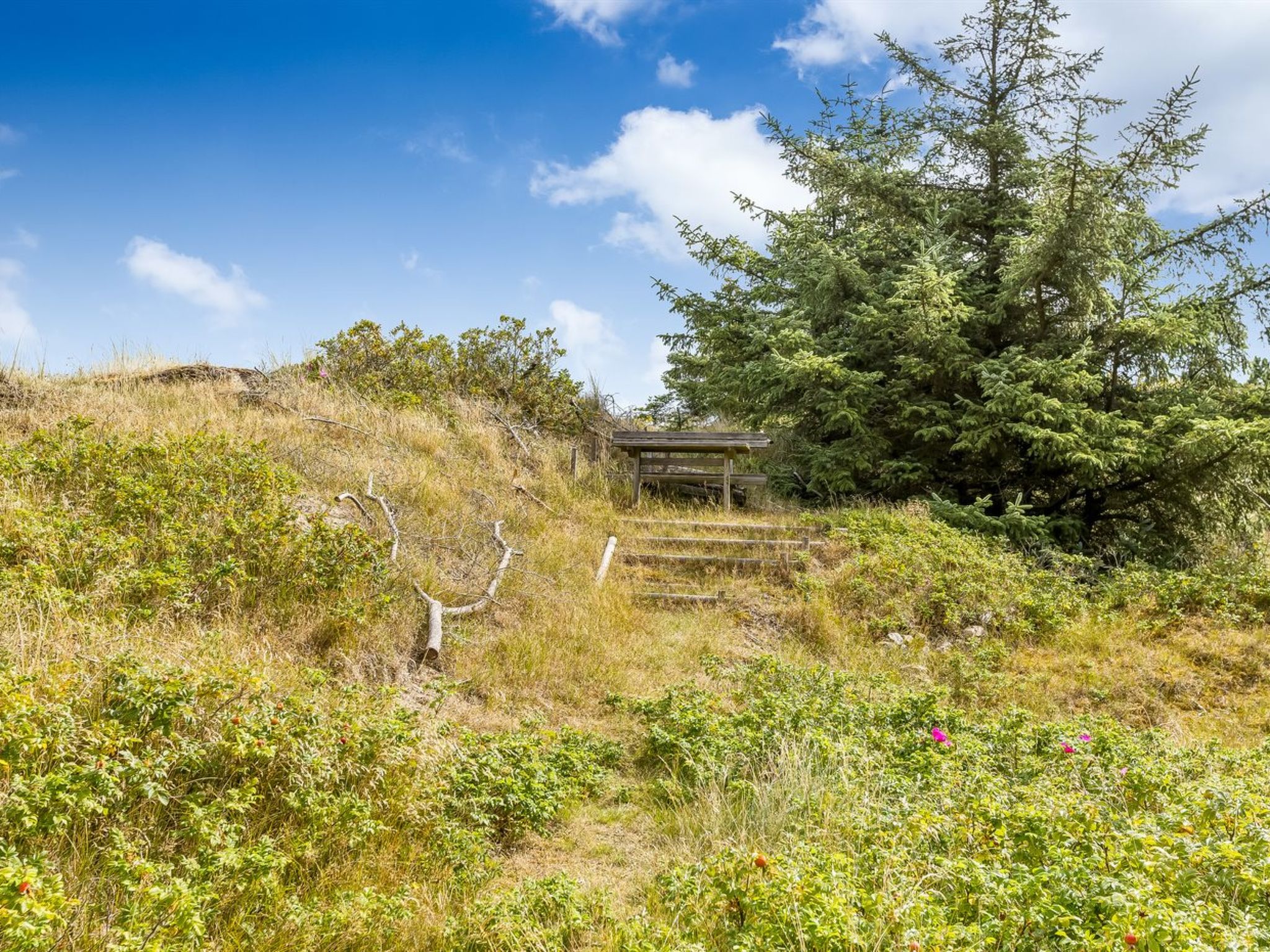"Tineke" - 800m from the sea - Buiten