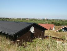 Rohan: Vrijstaand vakantiehuis op 800 meter van de zee in Fanø - thumbnail 1