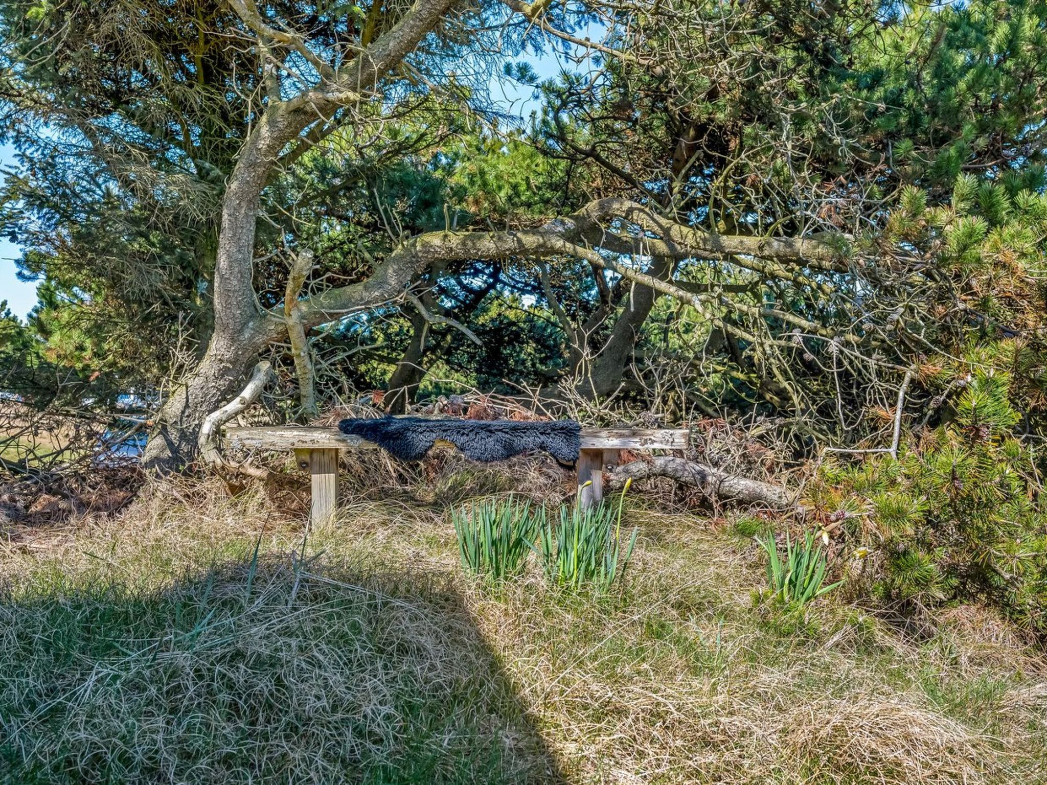 "Aiden" - 650m from the sea - Buiten