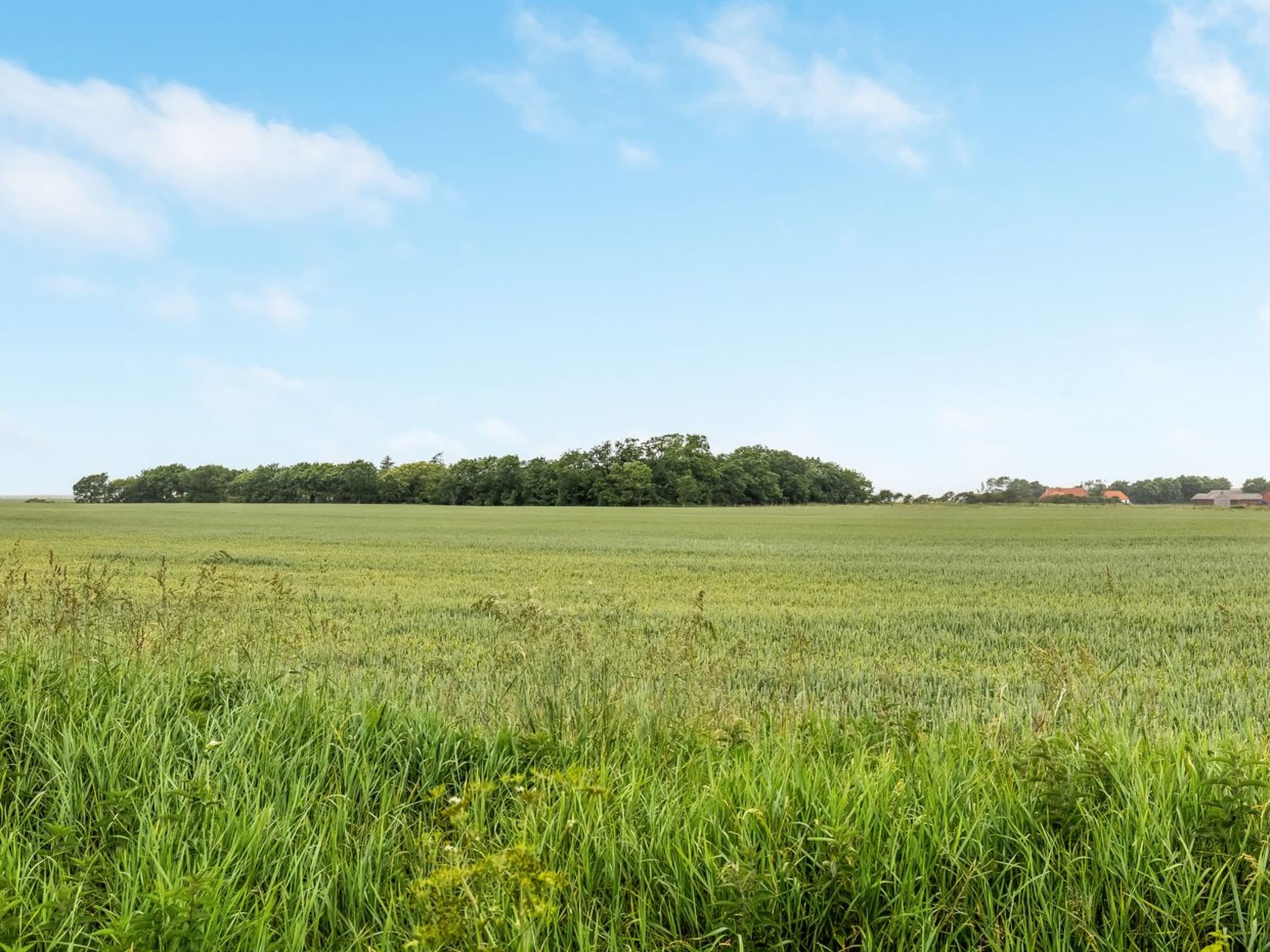 "Nette" - 15km from the sea - Buiten
