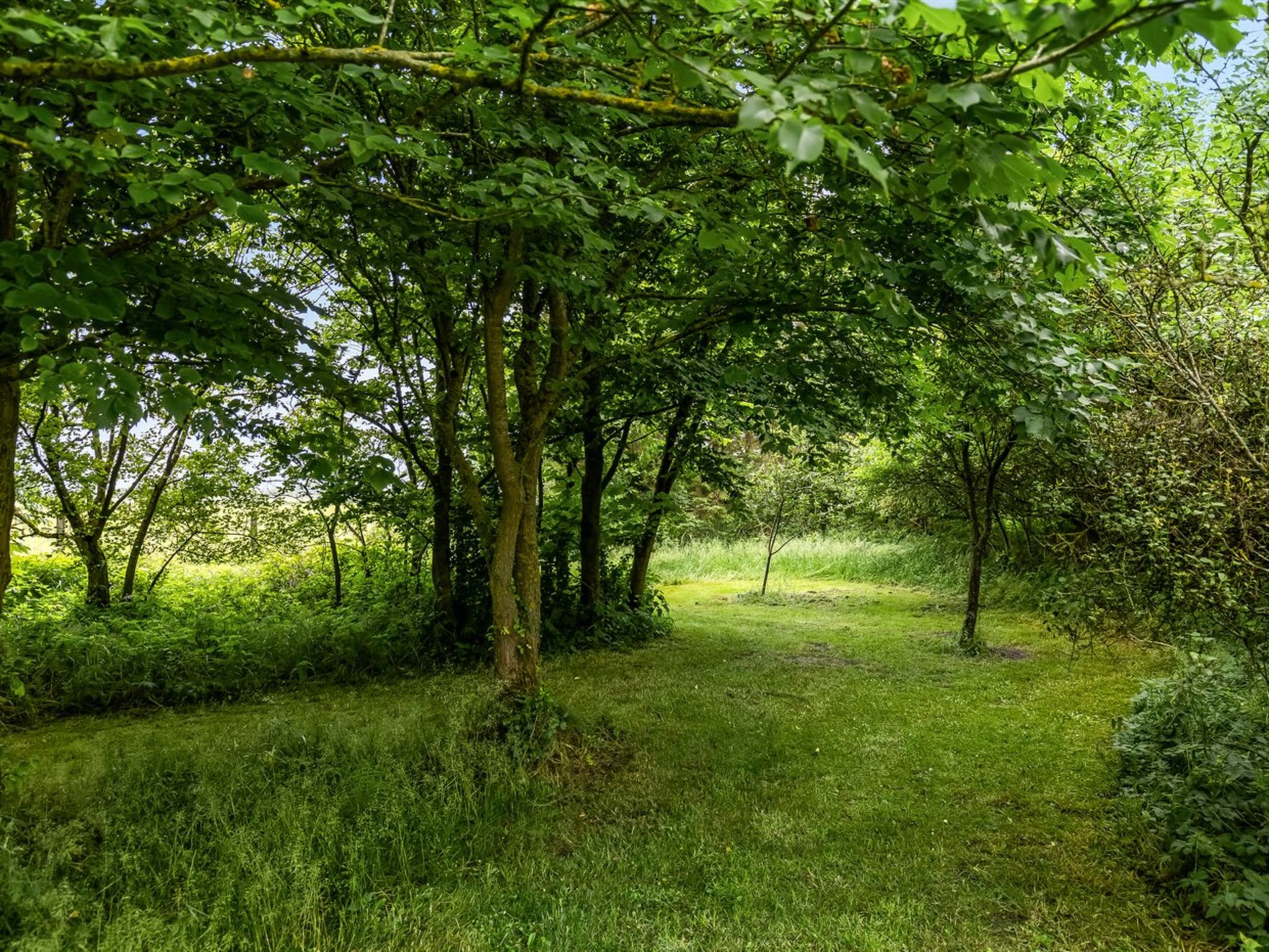 "Nette" - 15km from the sea - Buiten
