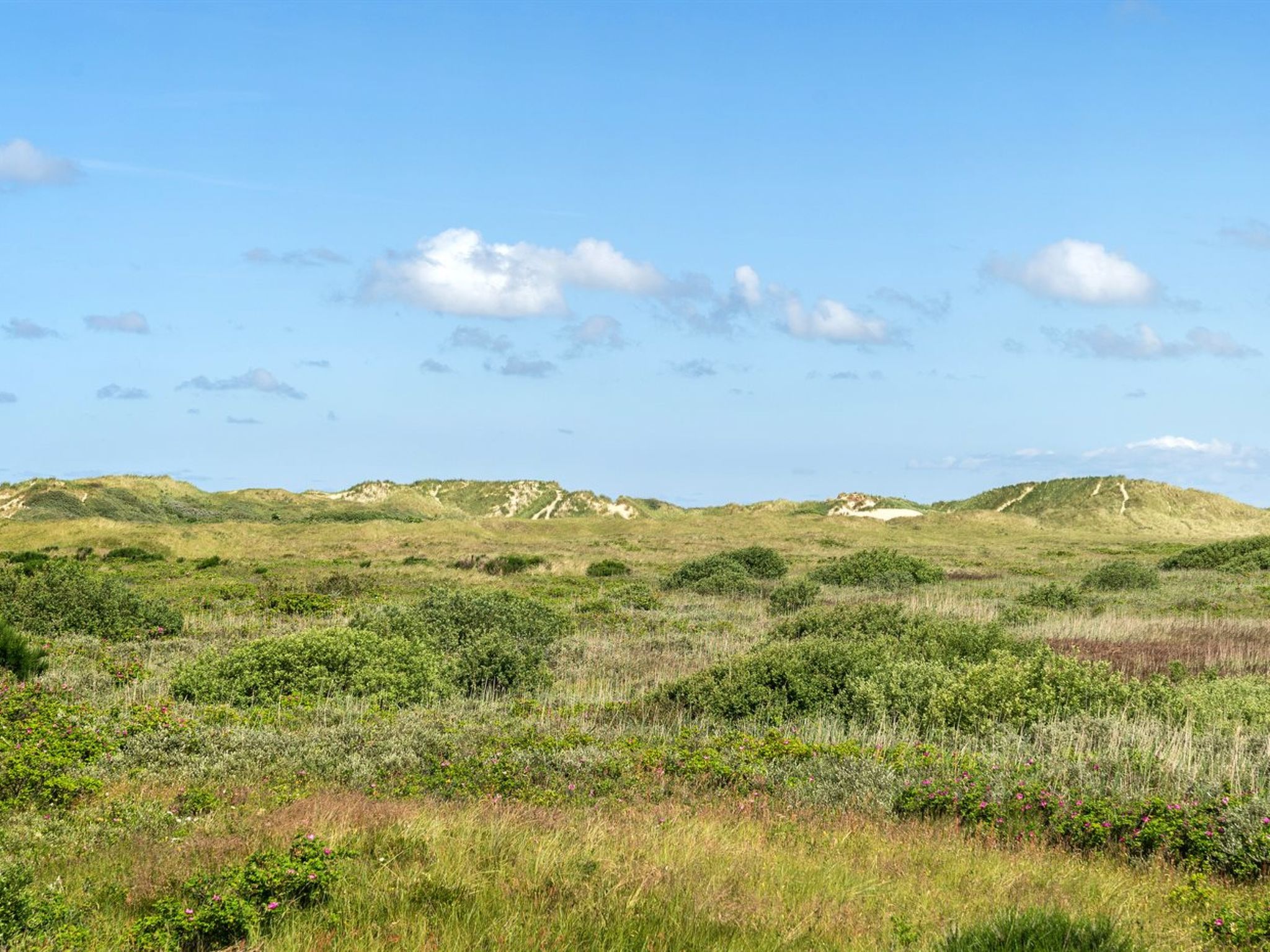 "Ortwin" - 300m from the sea