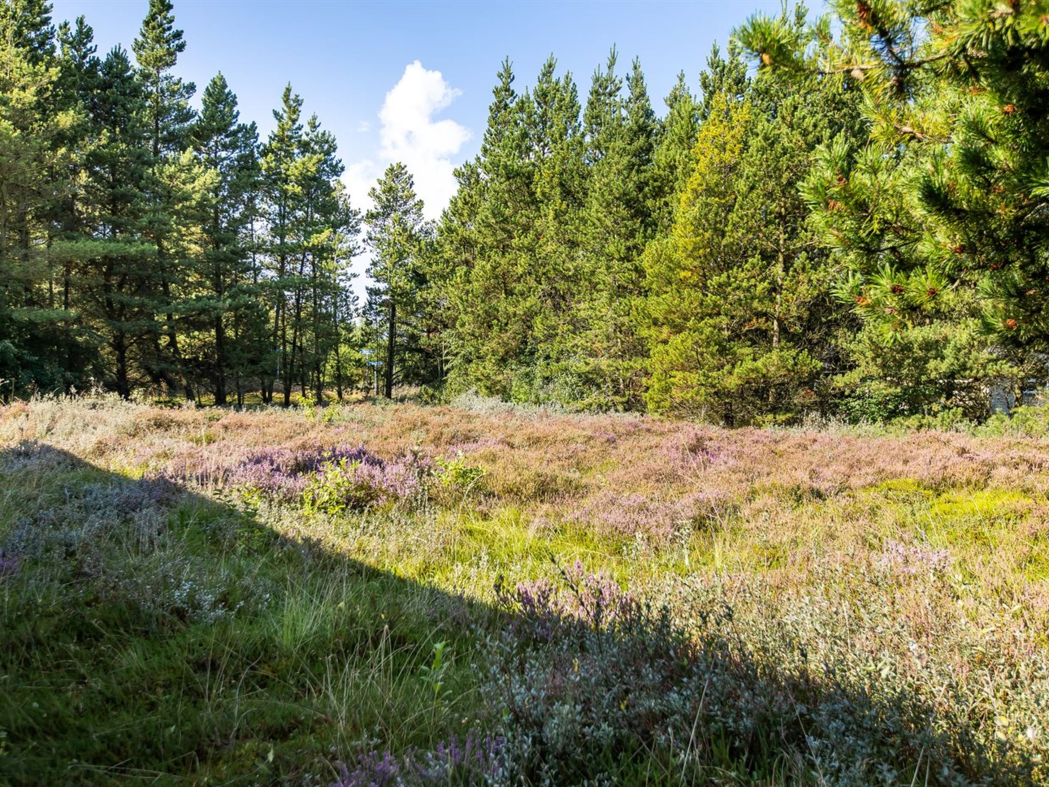 "Maija" - 1.4km from the sea - Draußen