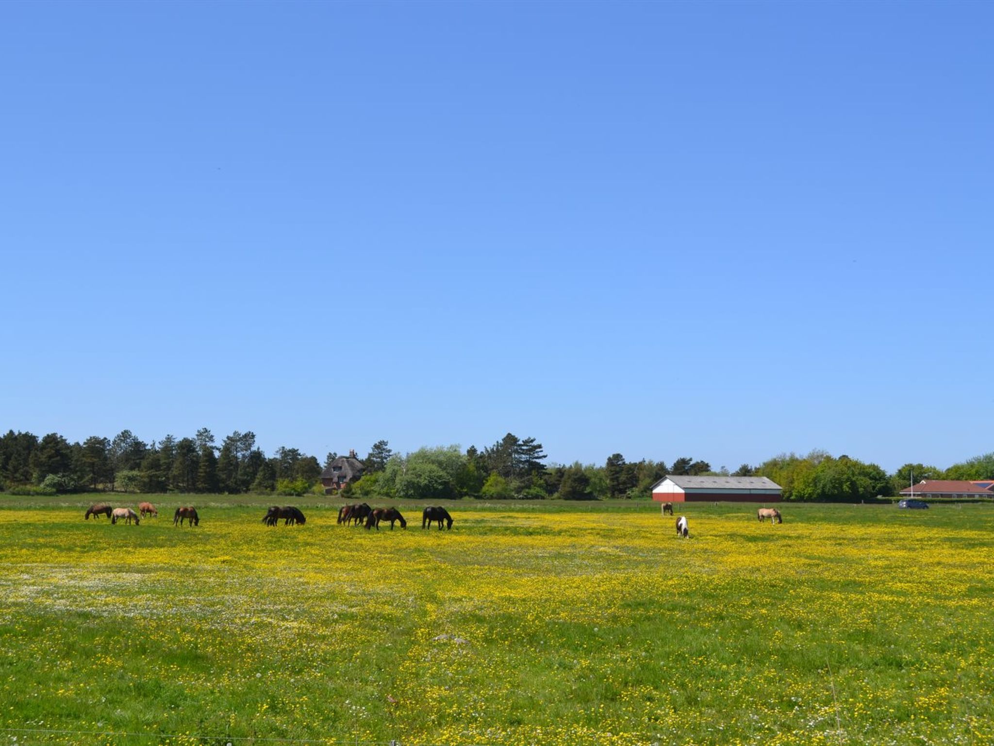 "Withulf" - 2.3km from the sea - Outside