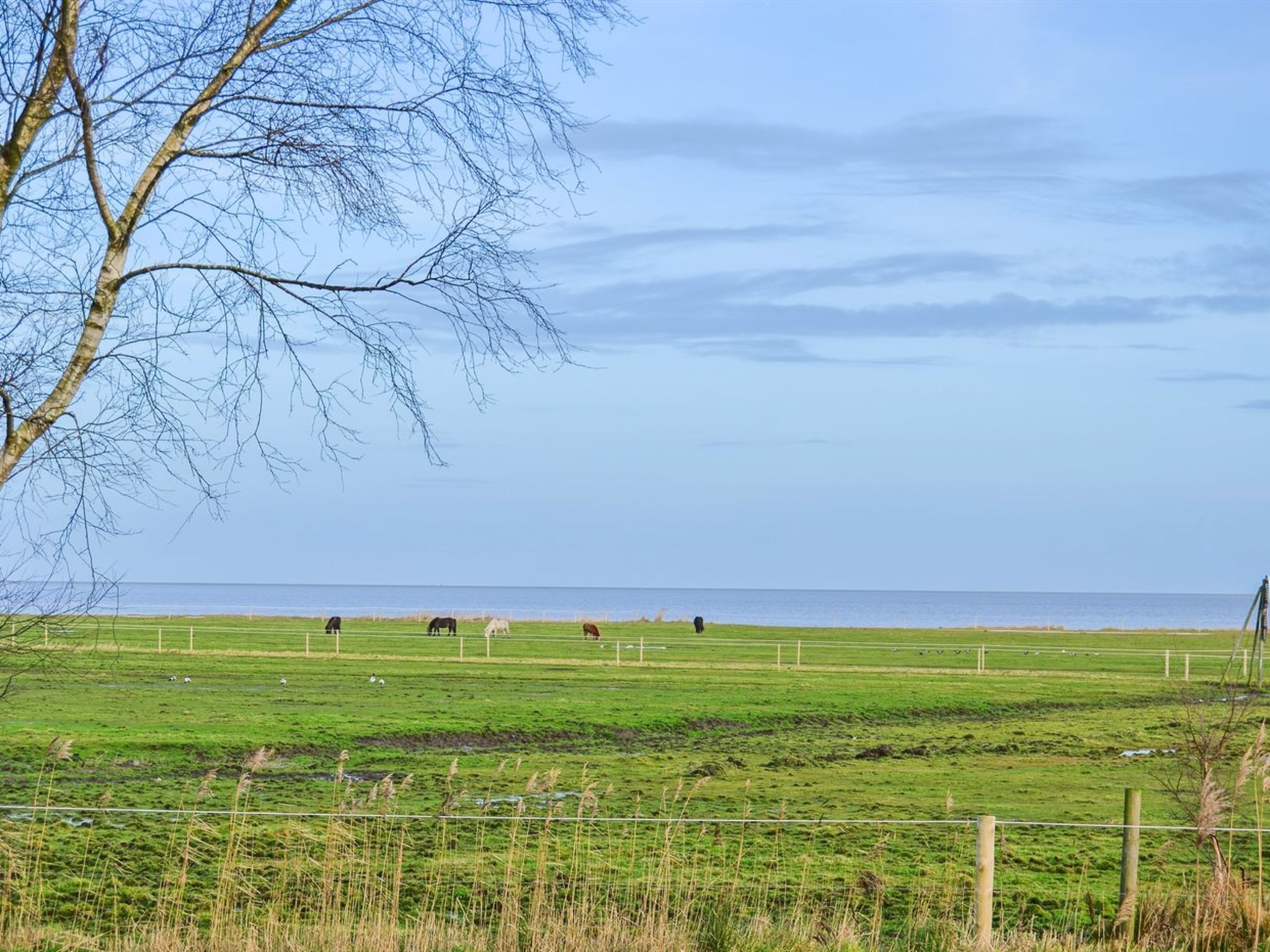 "Asfrid" - 3.5km from the sea - Outside