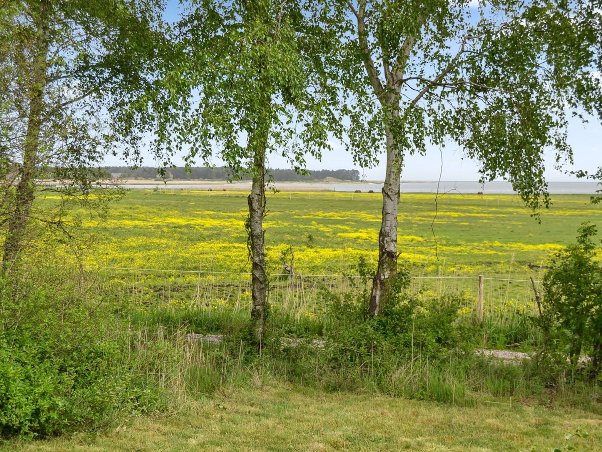 "Asfrid" - 3.5km from the sea - Outside