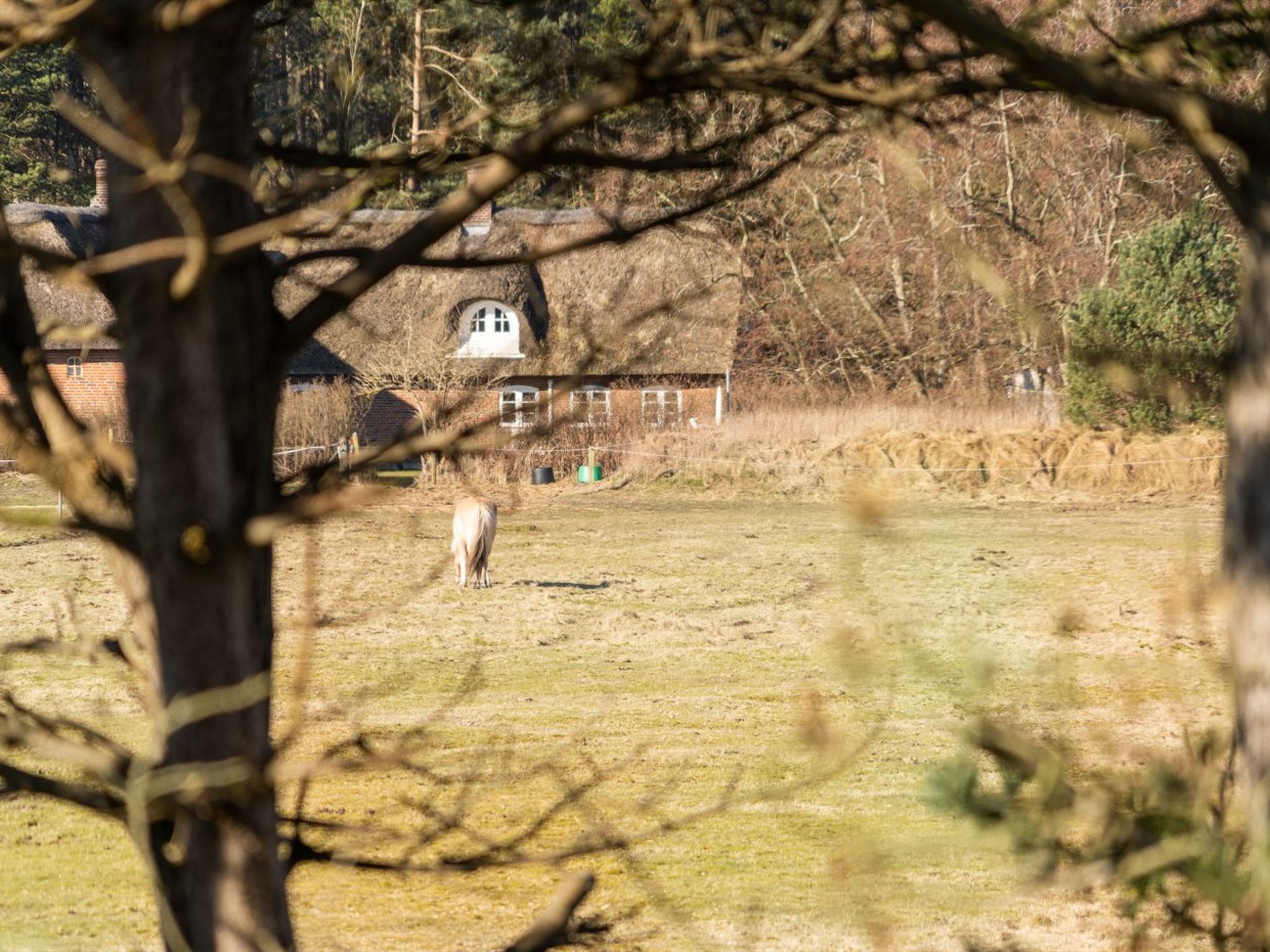"Tine" - 2.3km from the sea