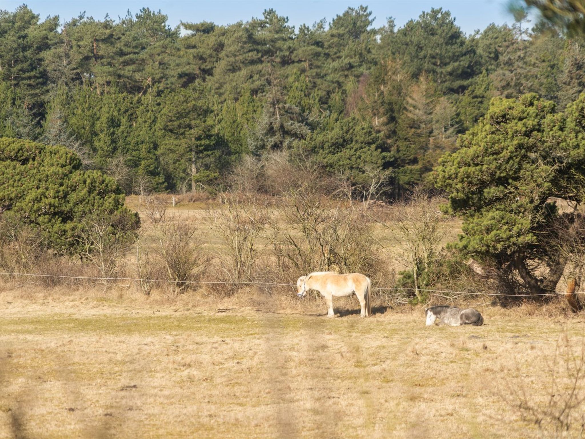 "Tine" - 2.3km from the sea - Buiten
