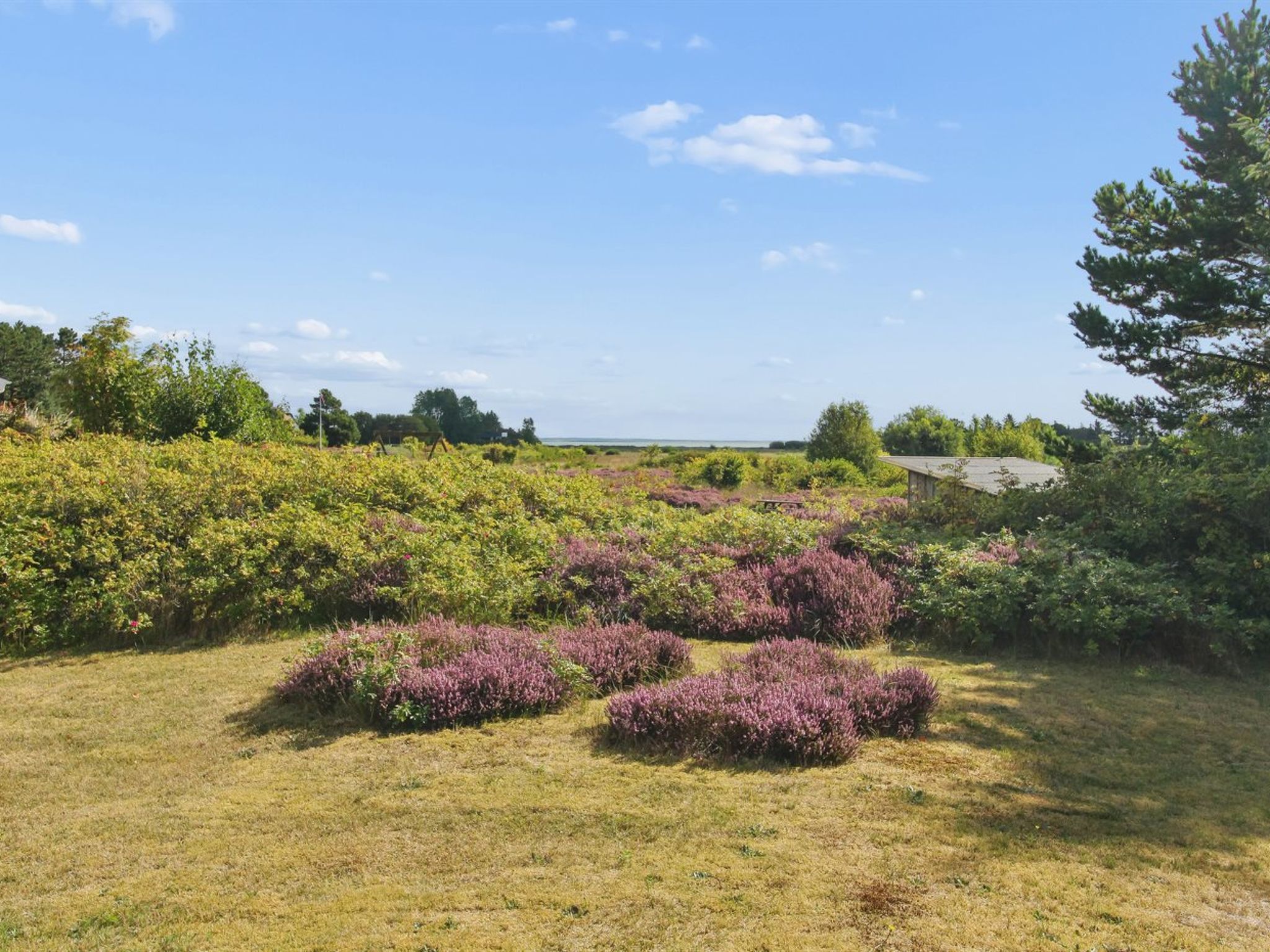 "Thorben" - 3.5km from the sea - Buiten