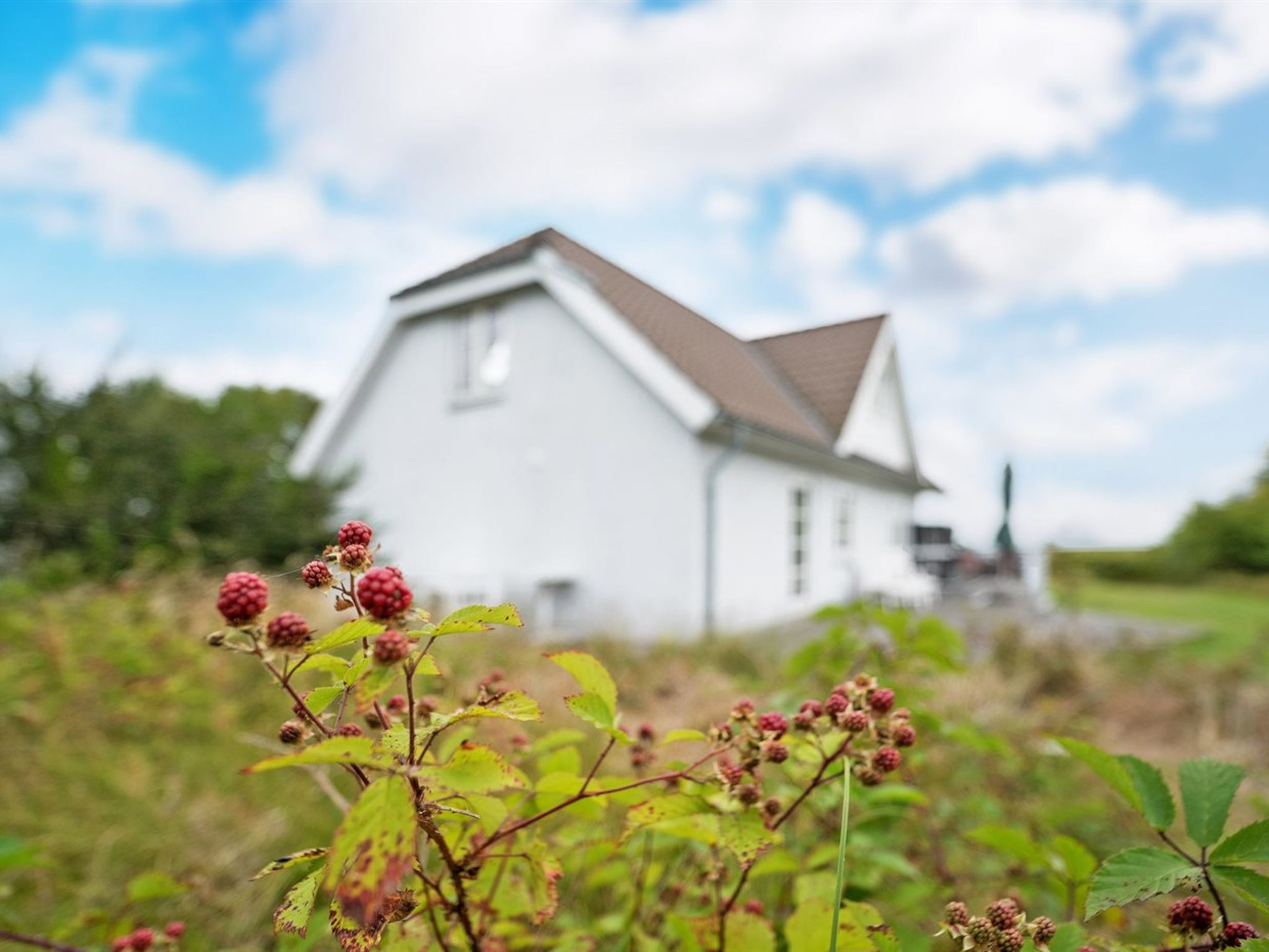 "Thorben" - 3.5km from the sea - Buiten