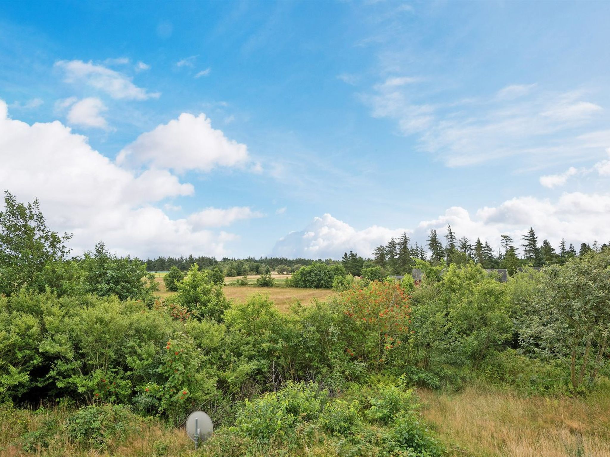 "Thorben" - 3.5km from the sea - Buiten