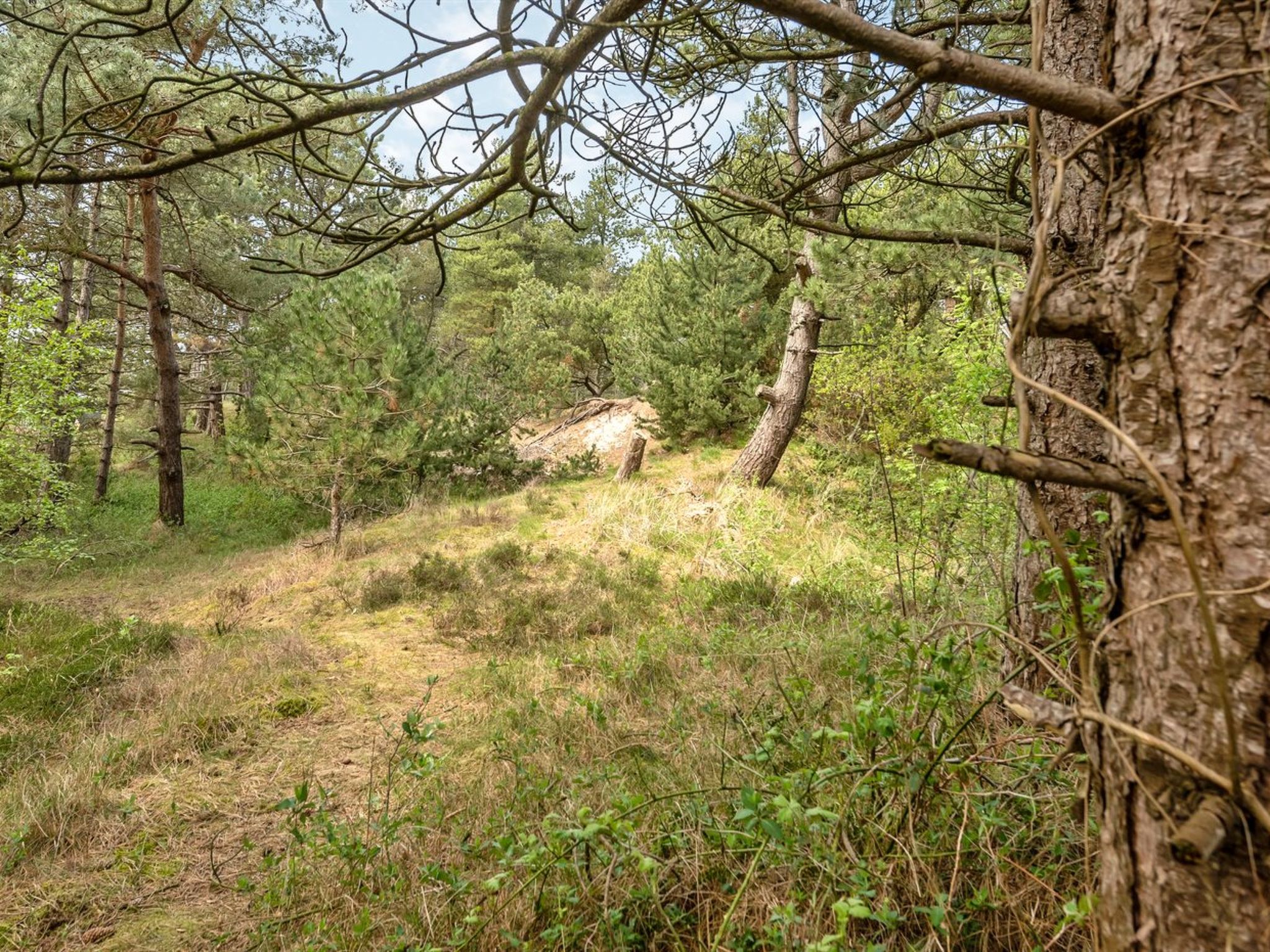 "Solvey" - 2km from the sea - Outside