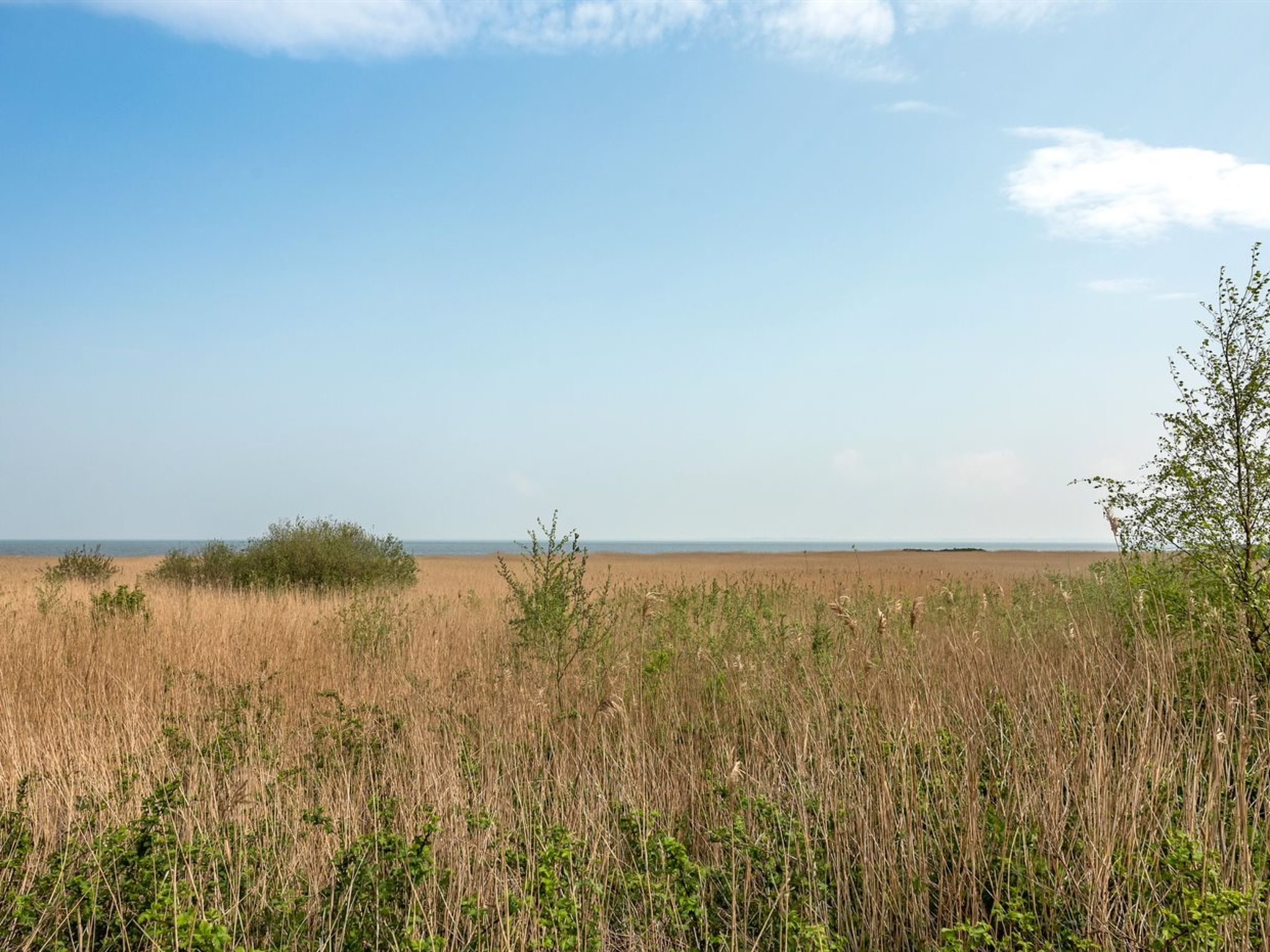 "Solvey" - 2km from the sea - Outside