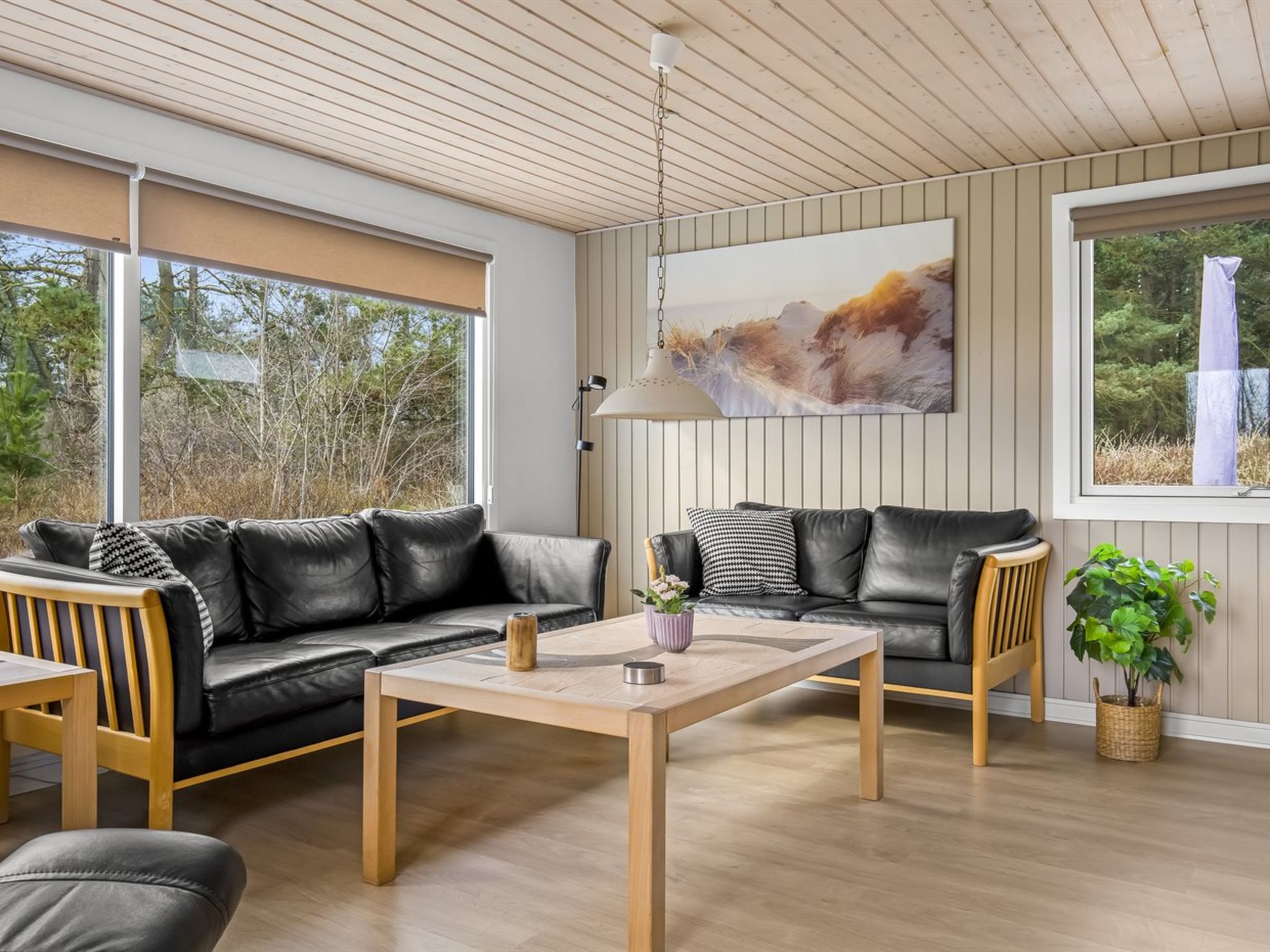 "Halfdan" - 1.1km from the sea