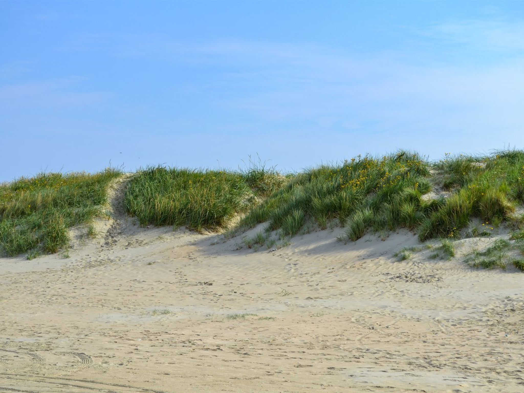 "Gunnlaug" - 500m from the sea - Binnen