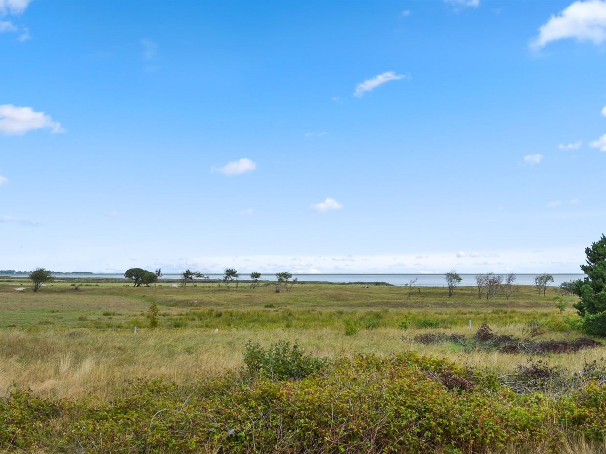 "Annicka" - 5km from the sea-Draußen