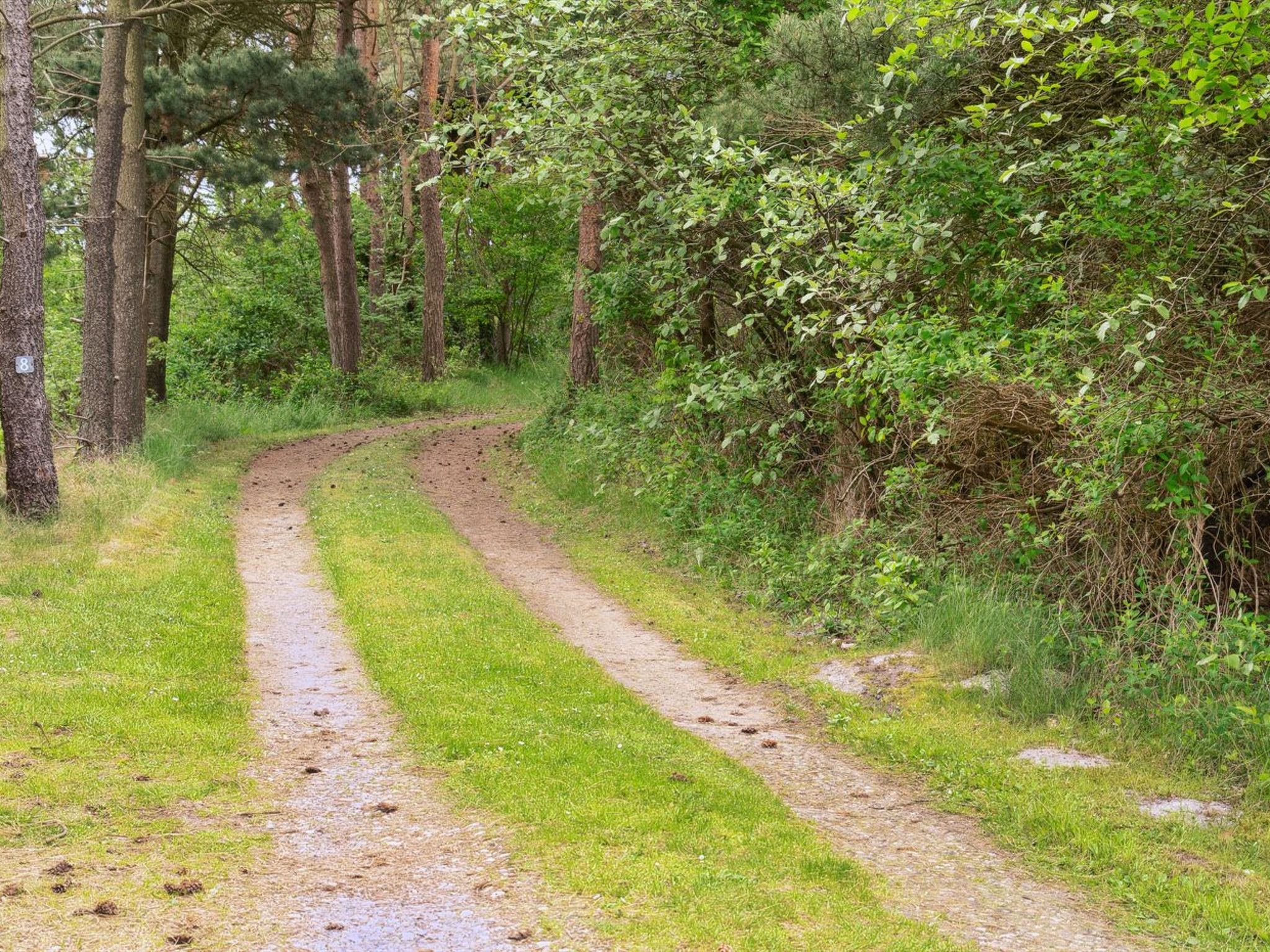 "Keyla" - 3.2km from the sea - Buiten